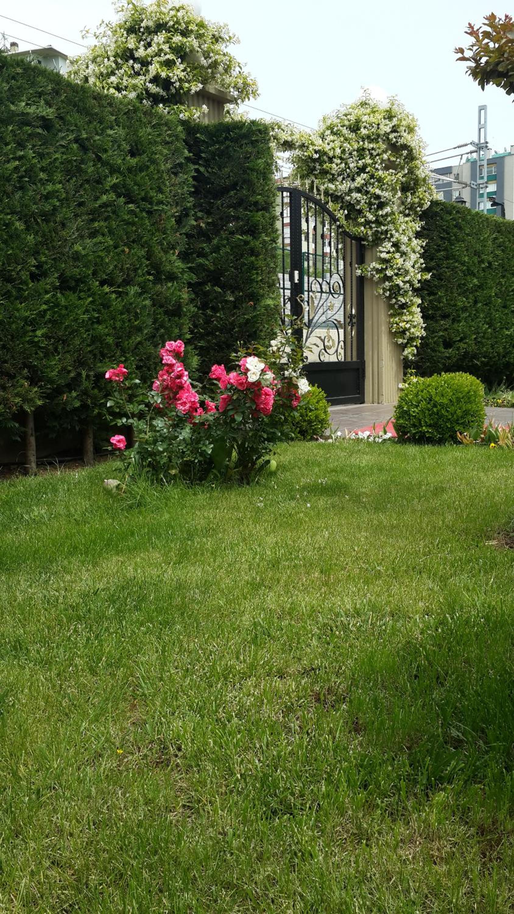 Pendik Marine Otel - Image 31