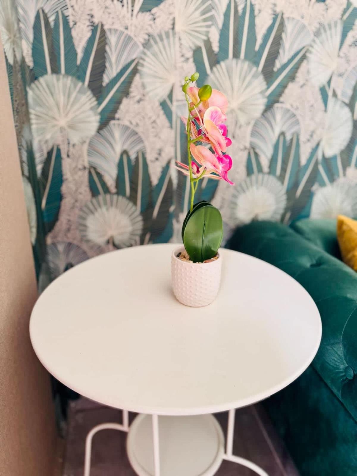 Loft Bis cosy proche des plages et villes