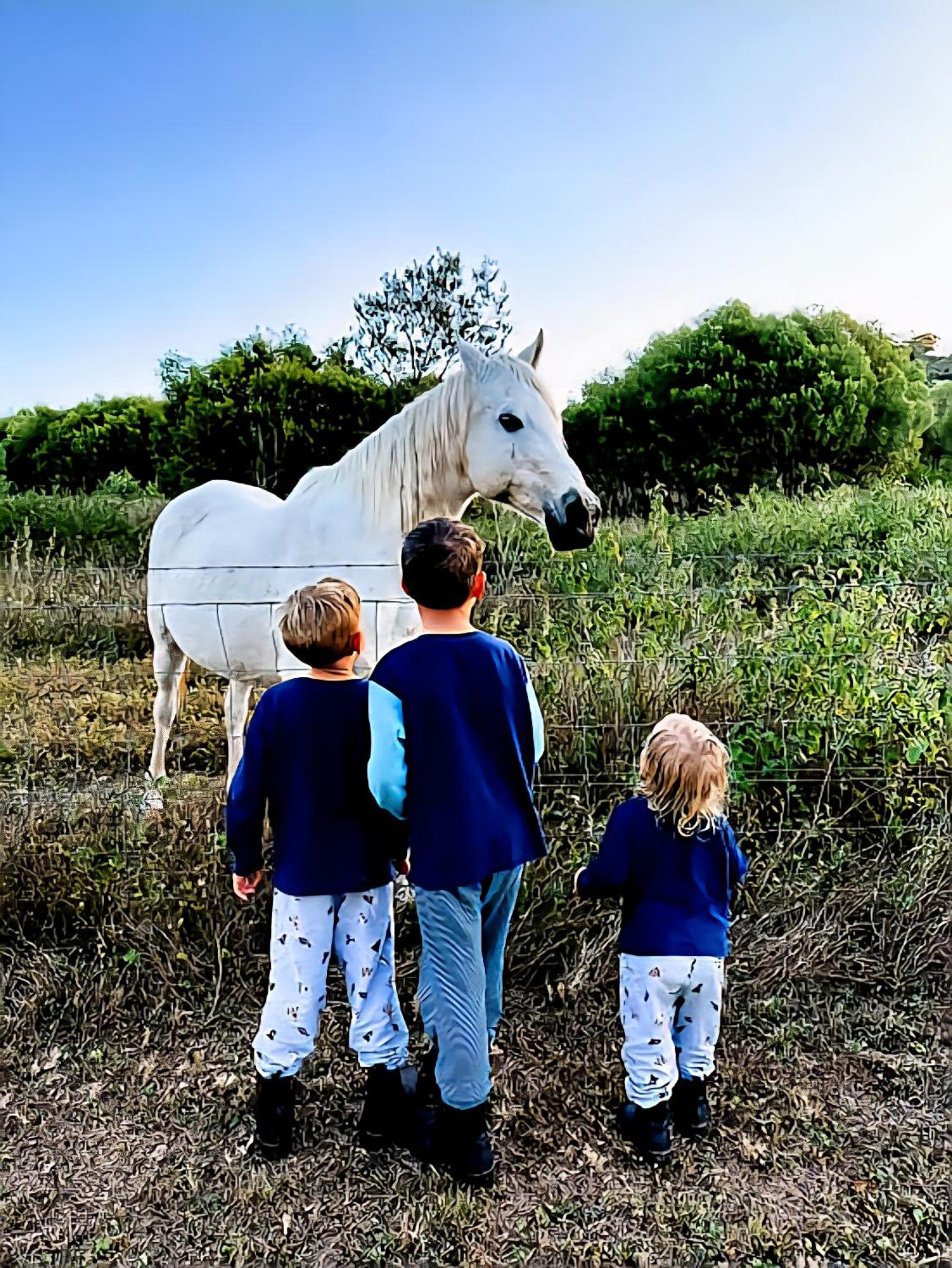 Milfarrago Farm Stay