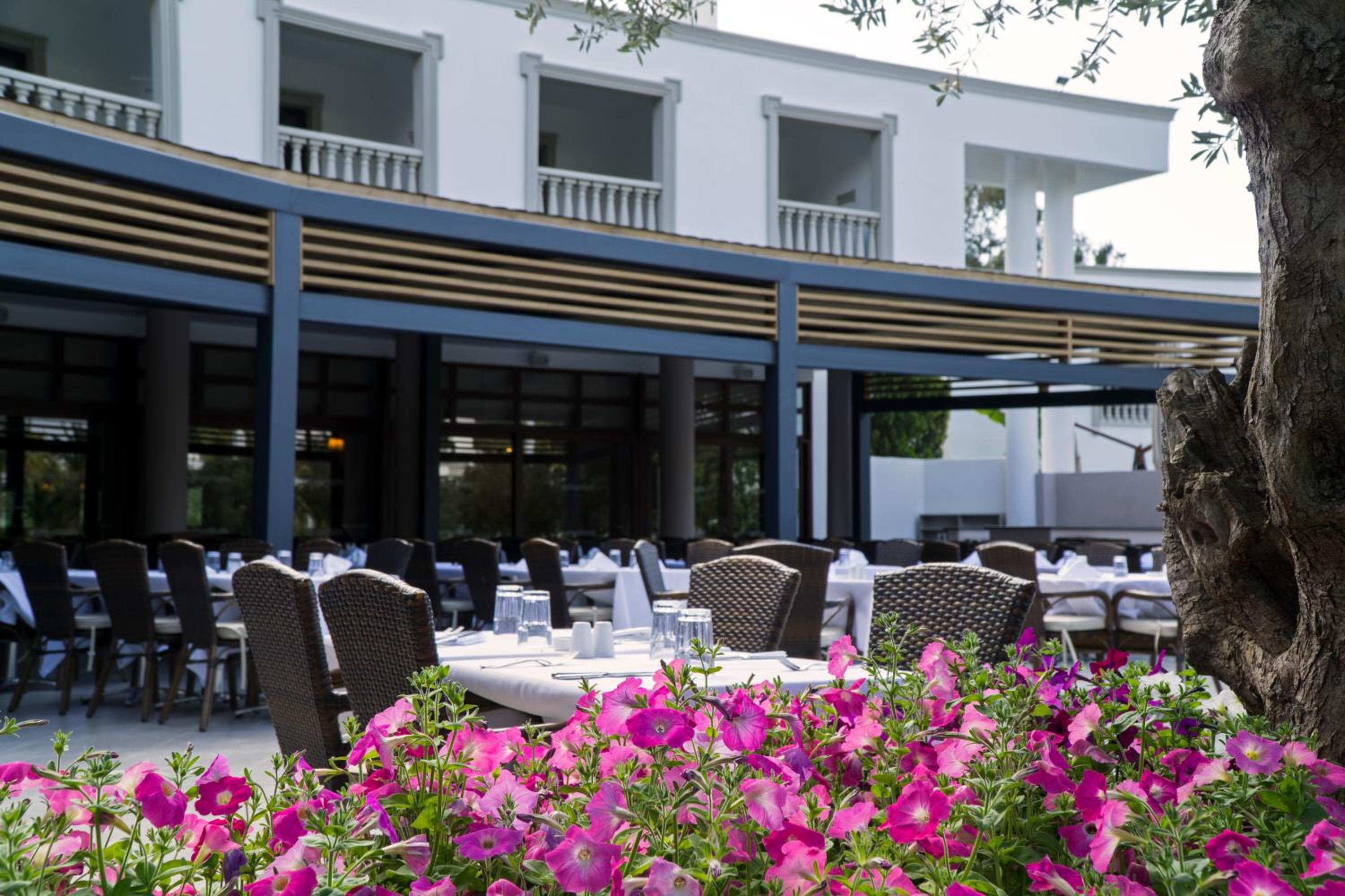Samara Hotel Bodrum Ultra All Inclusive — photo 83