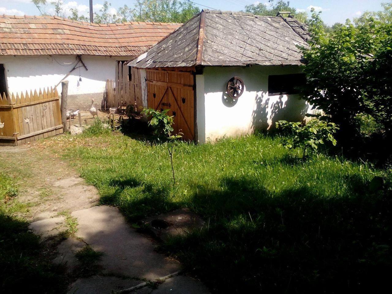 Photo 66