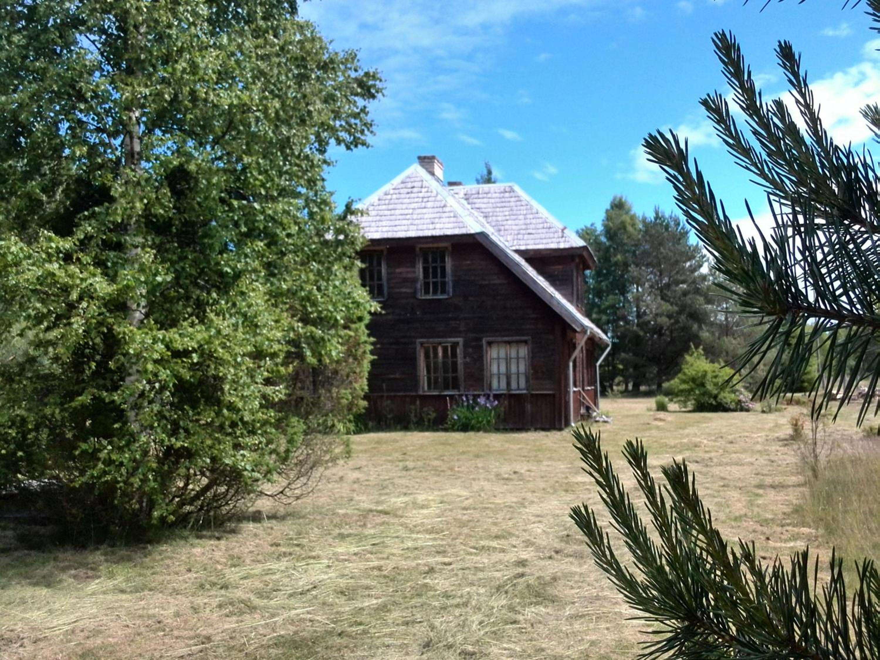 Photo 6