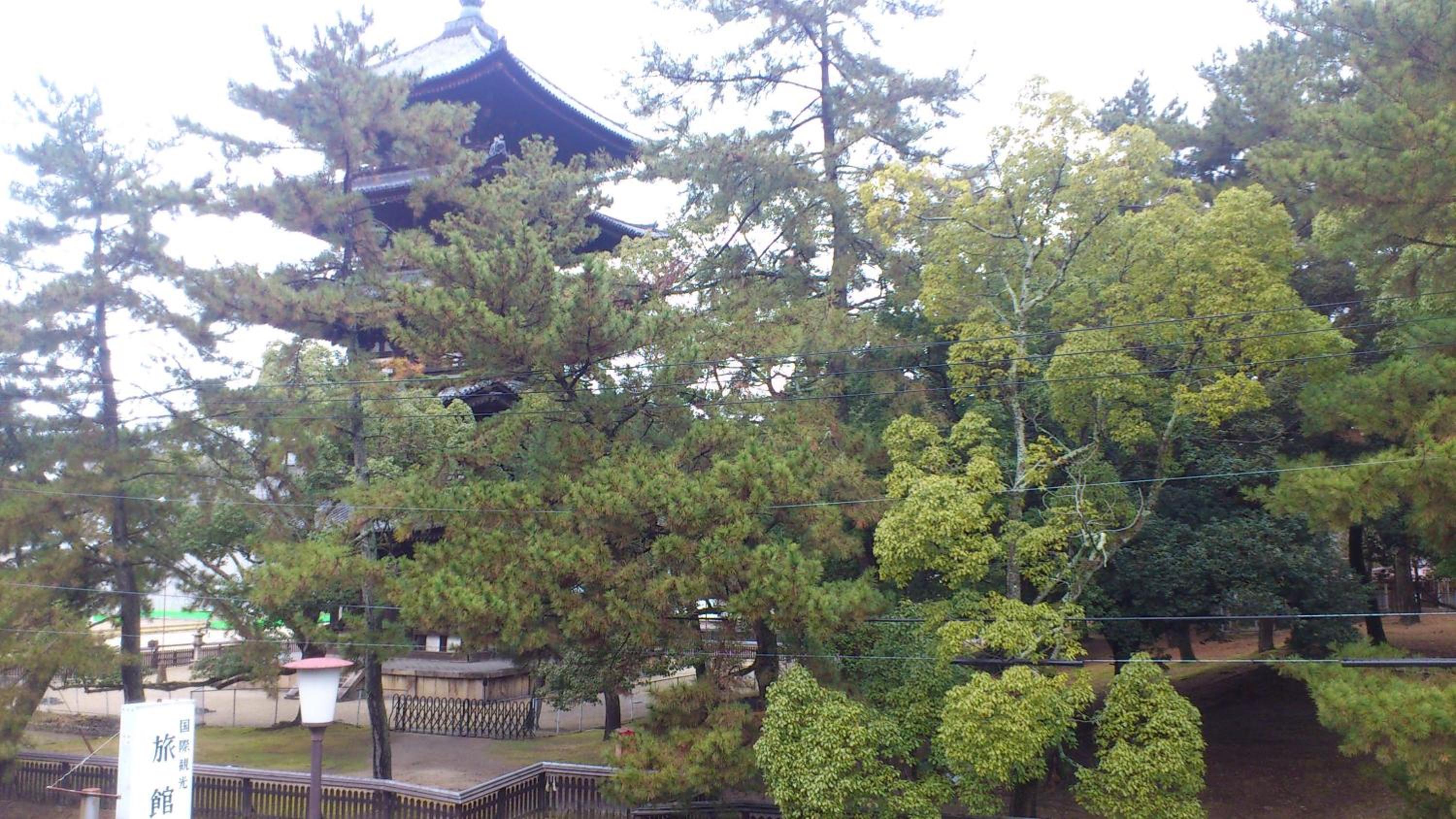 Daibutsukan