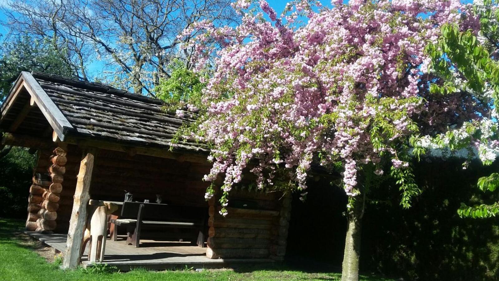 Photo 12