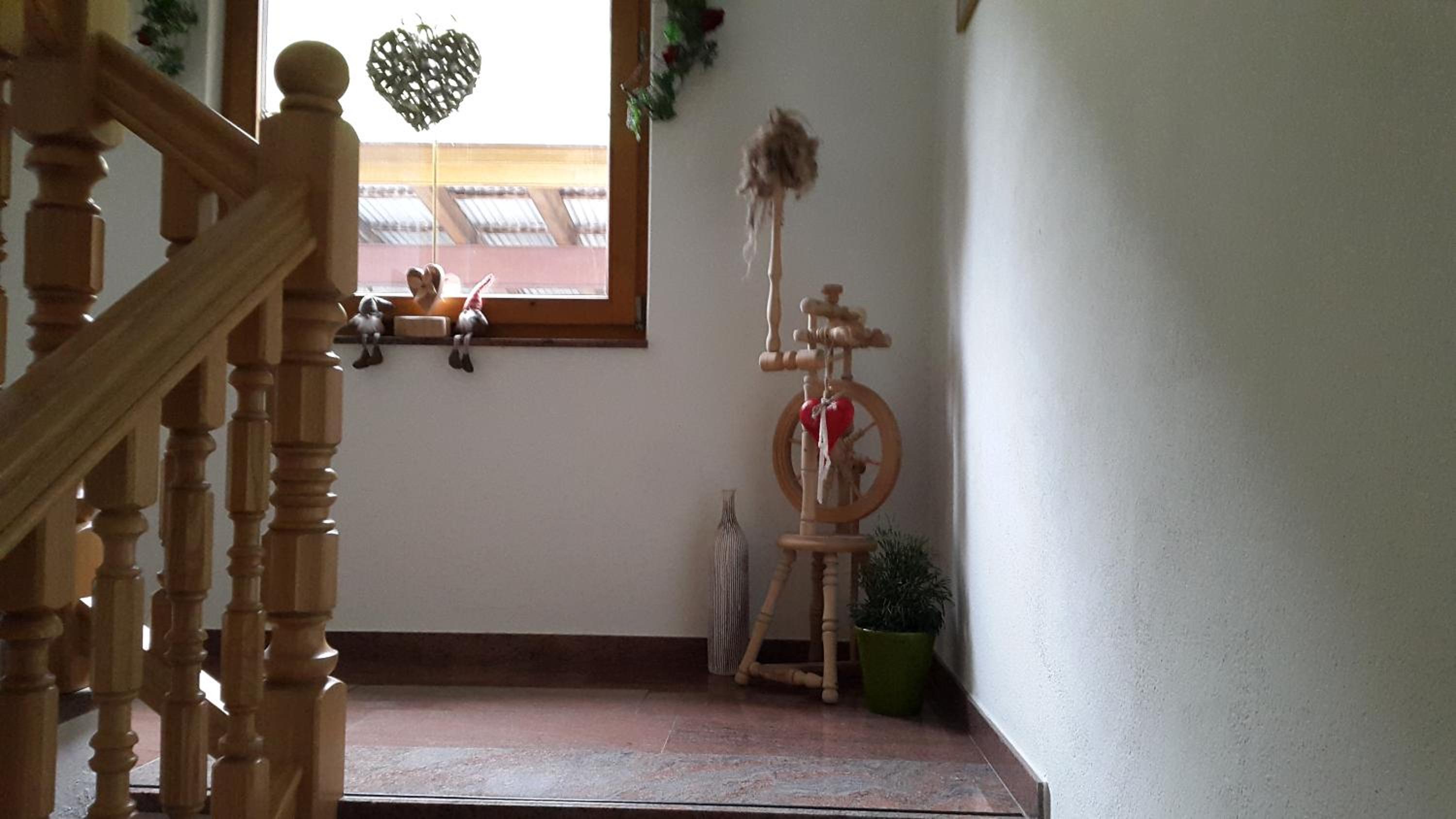 Photo 113