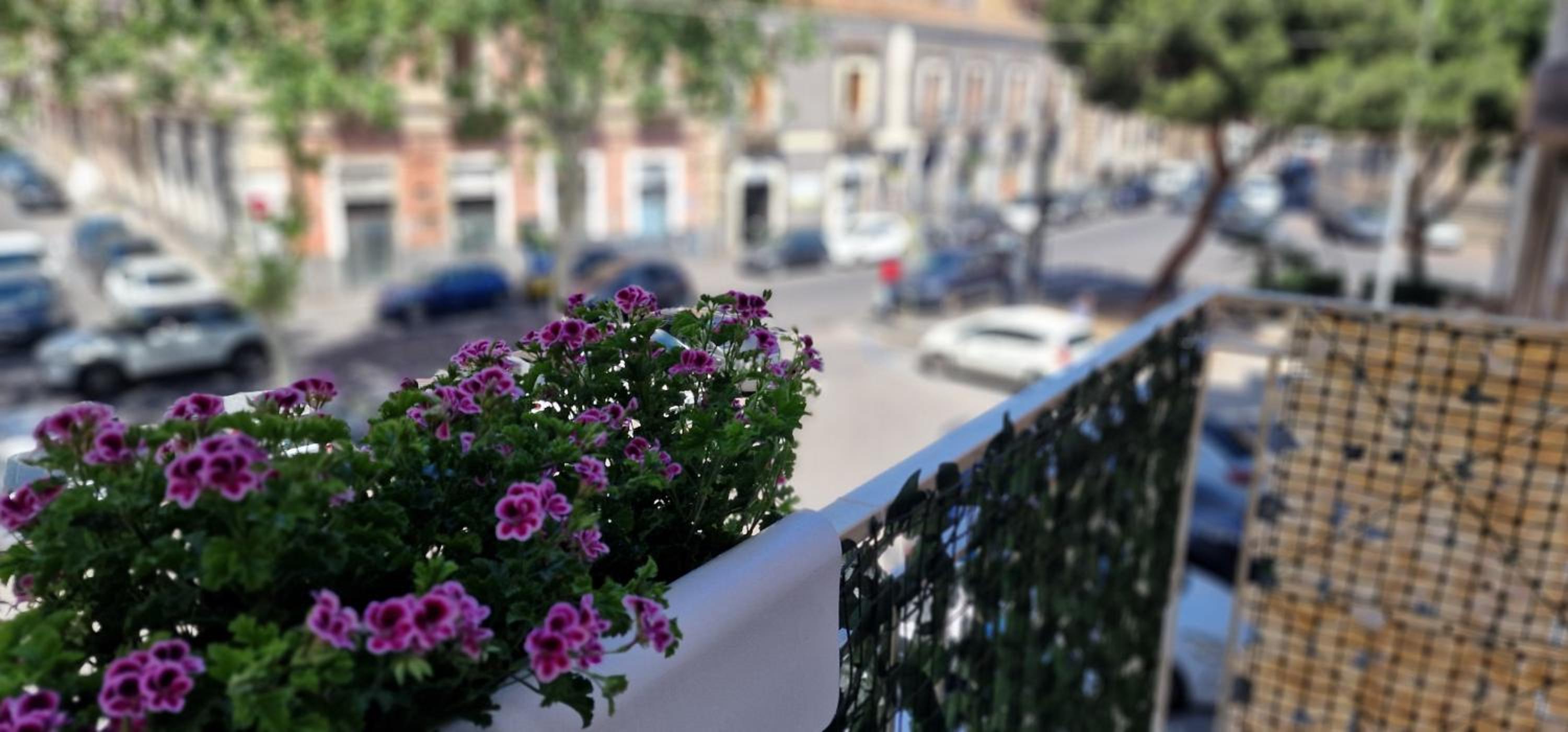 La casa di Iside
