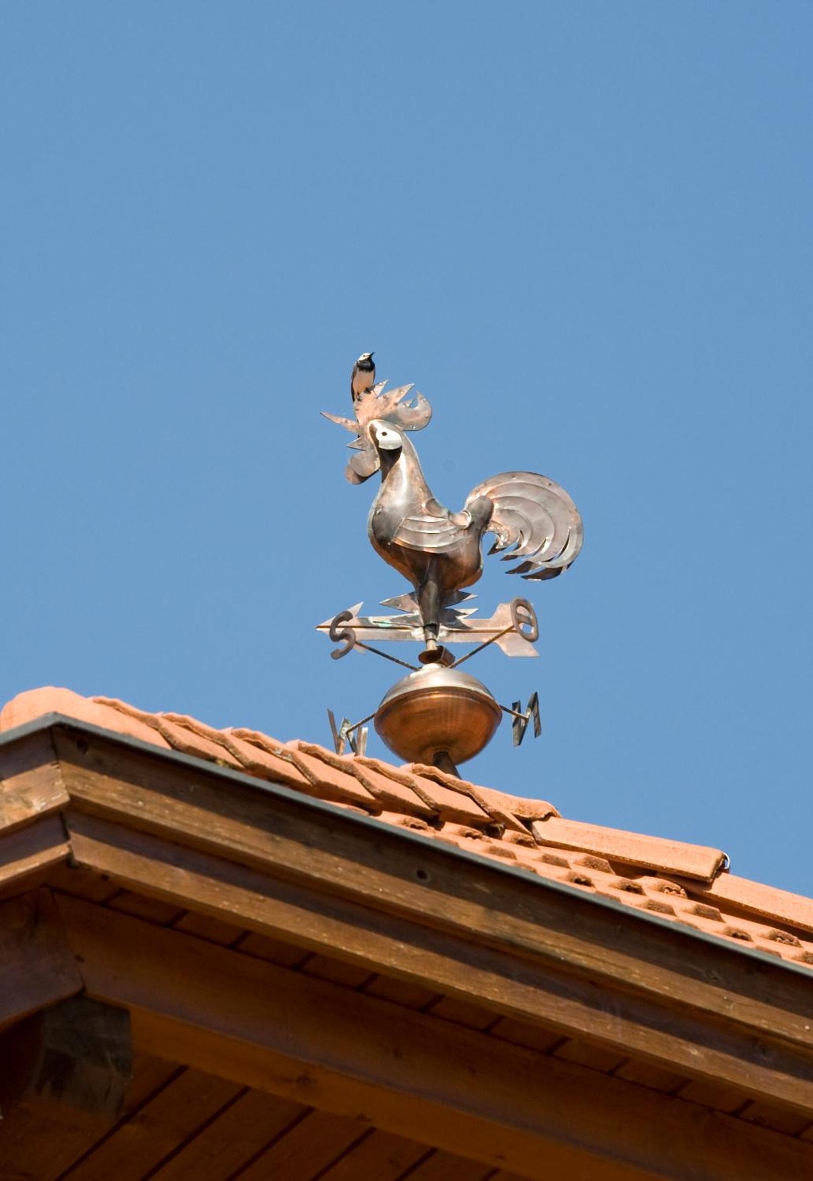 Zum Fally - Landgasthof
