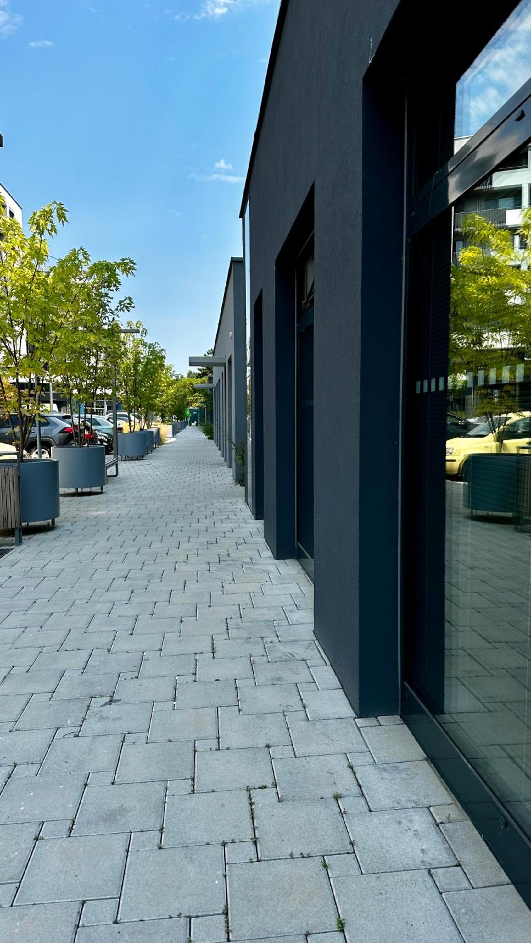 Magnolia Terrace Apart - FREE PARKING, Family & Sport Friendly Area