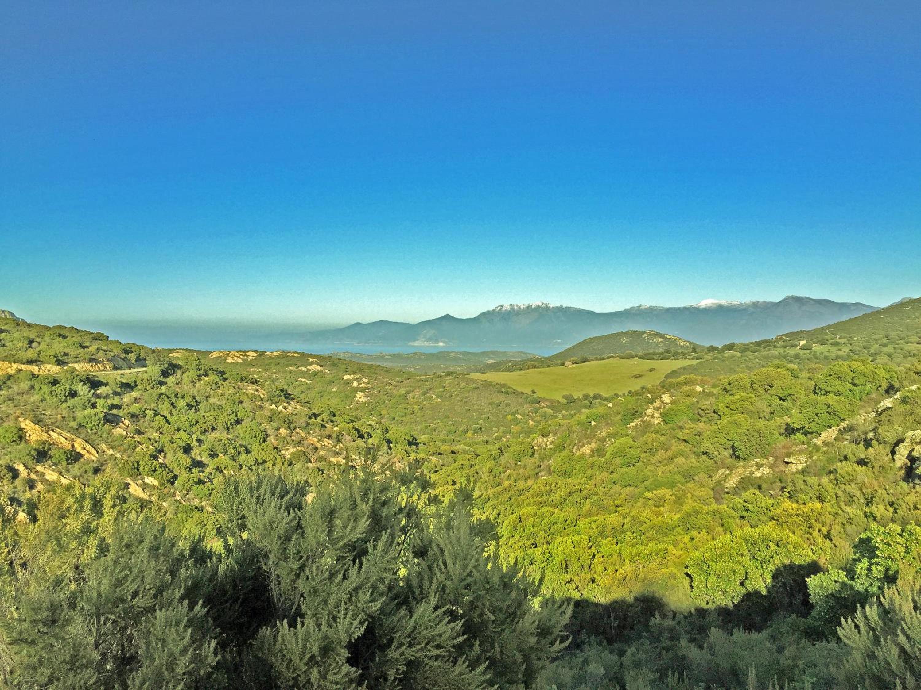Hotel Restaurant L'Europe photo 5