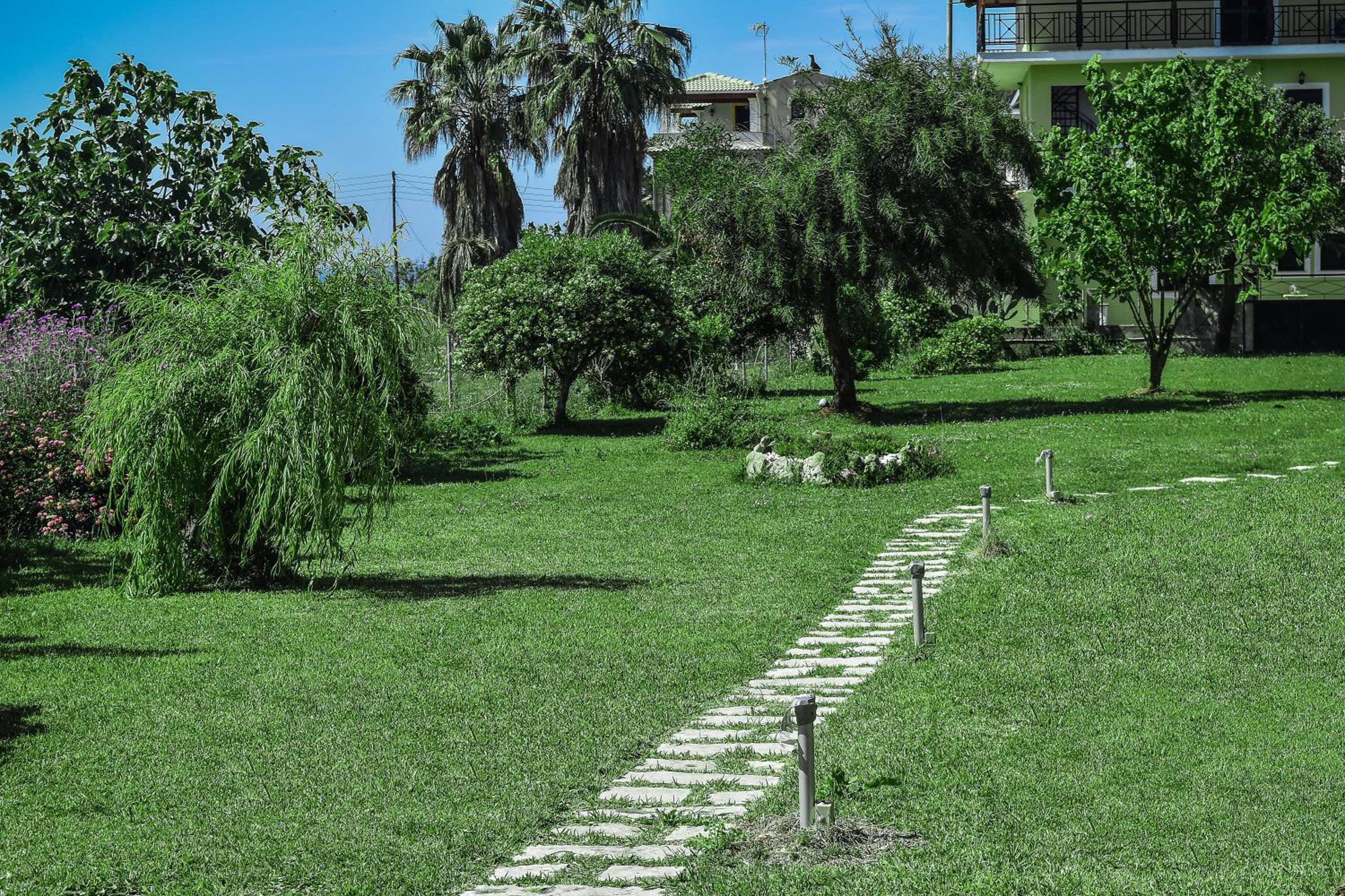 Photo 38