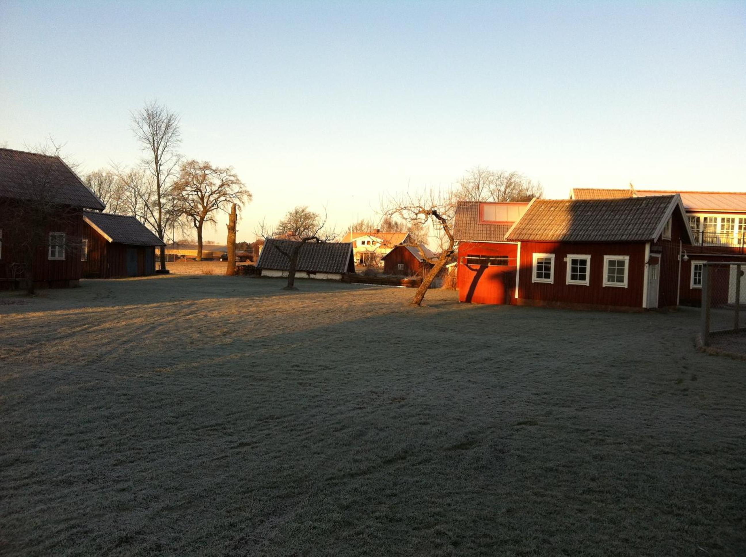 Photo 43