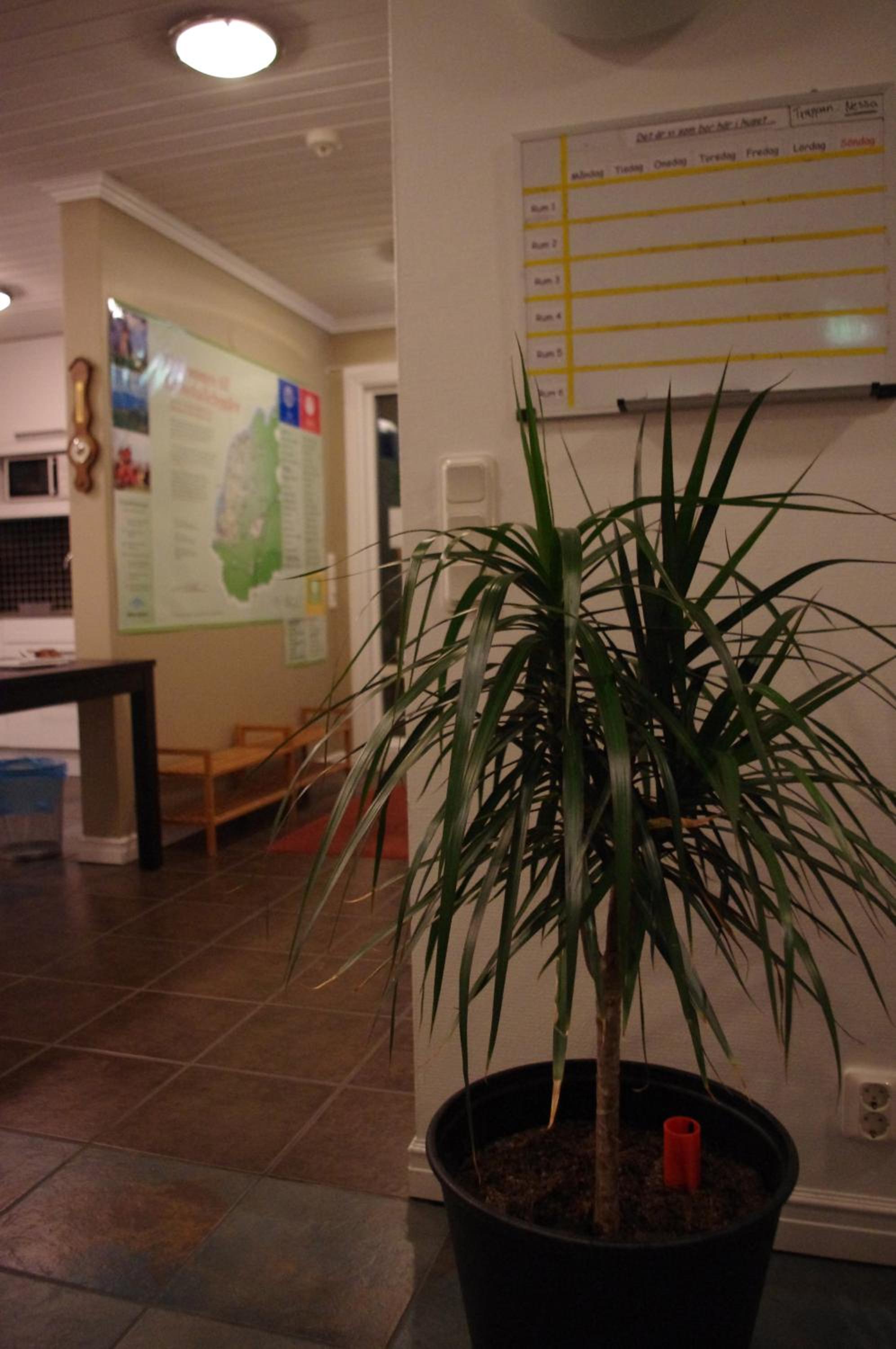 Photo 52