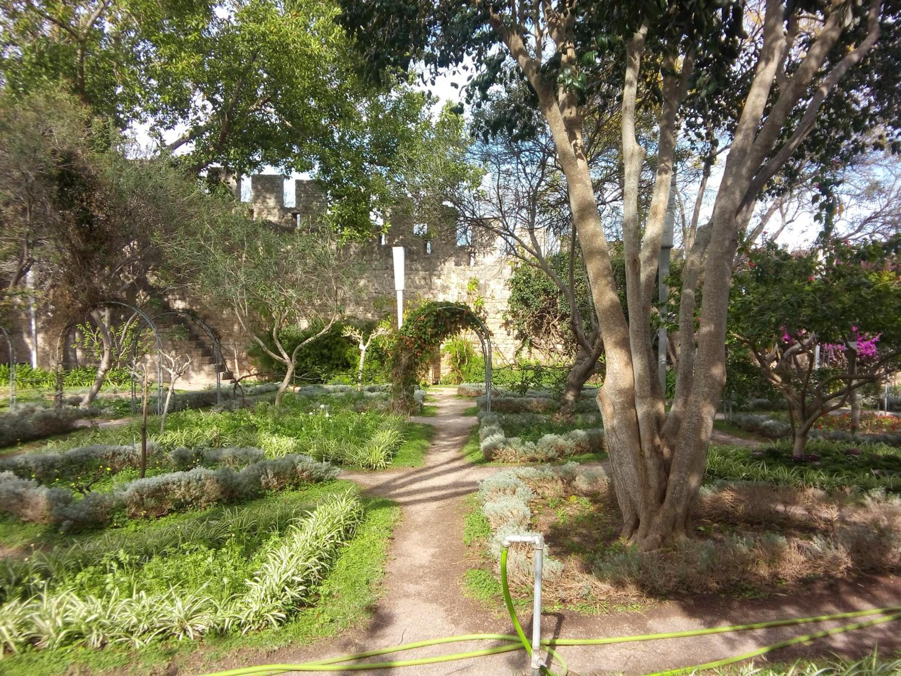 Photo 14