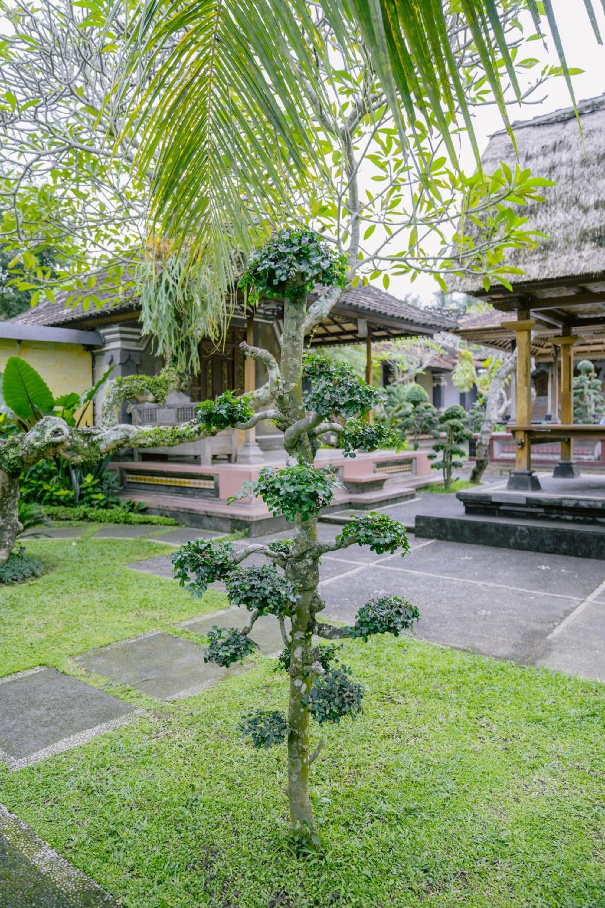 Pondok Sari
