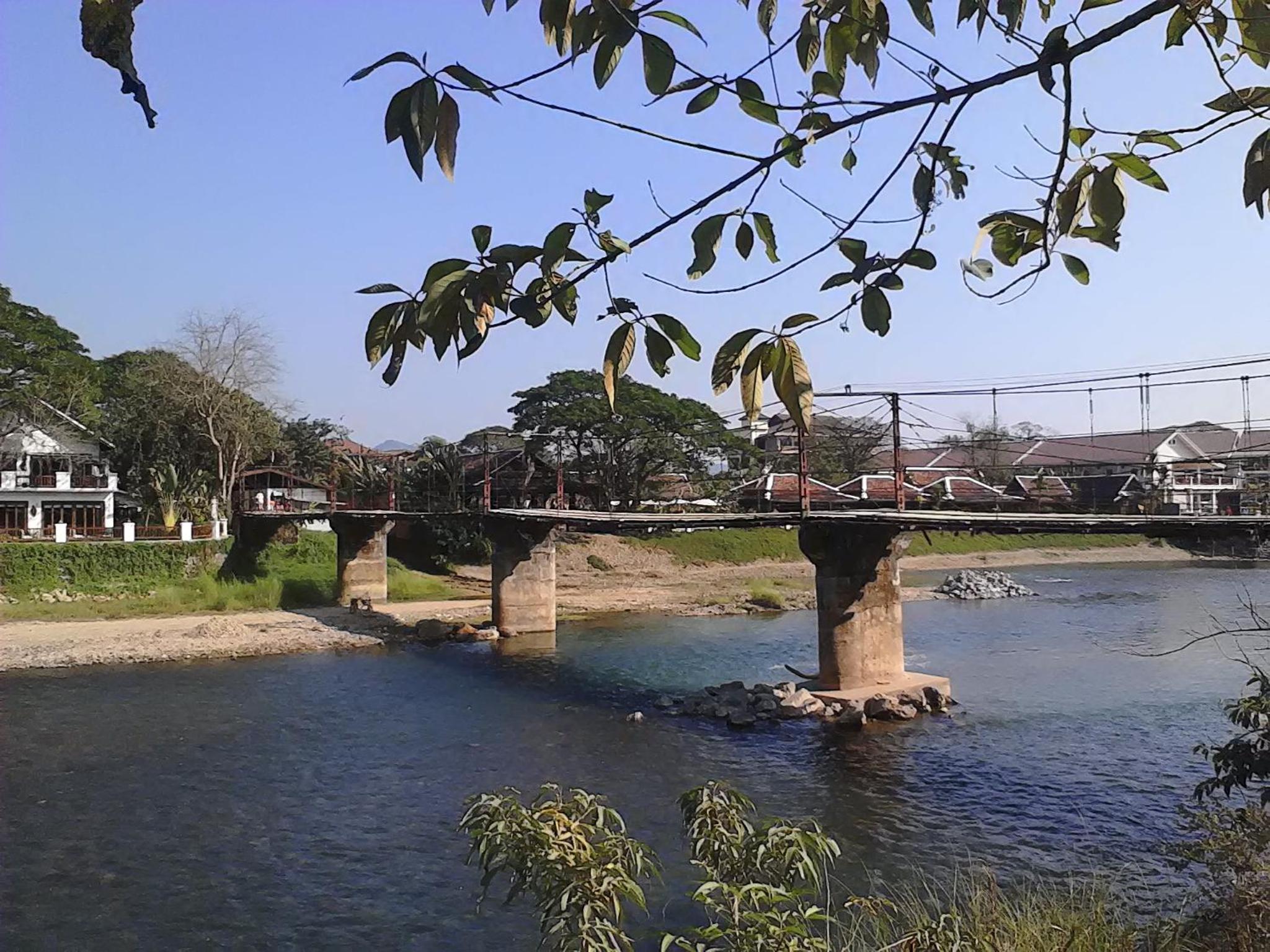 Photo 44
