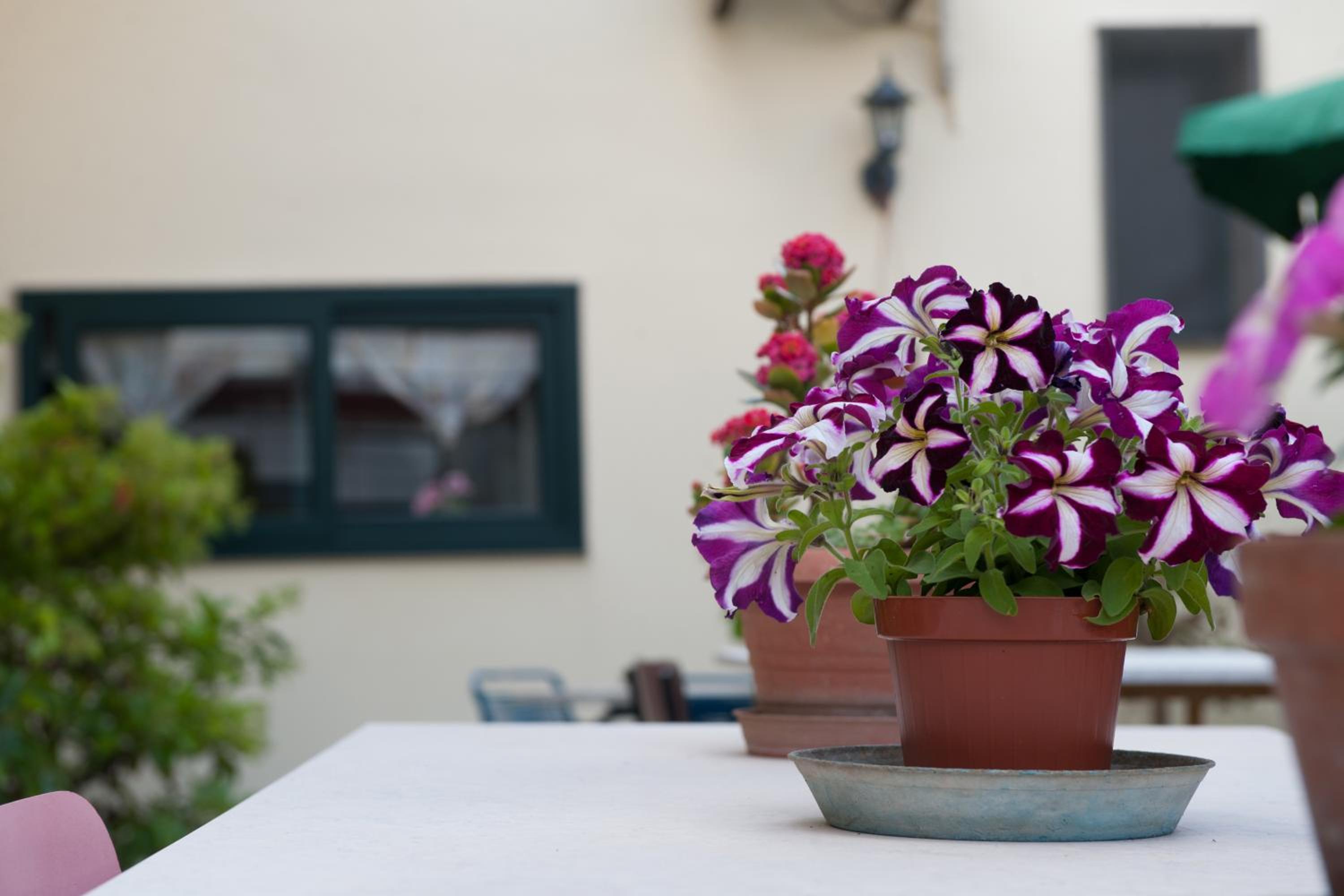 Bed&Breakfast Annapaola view 4