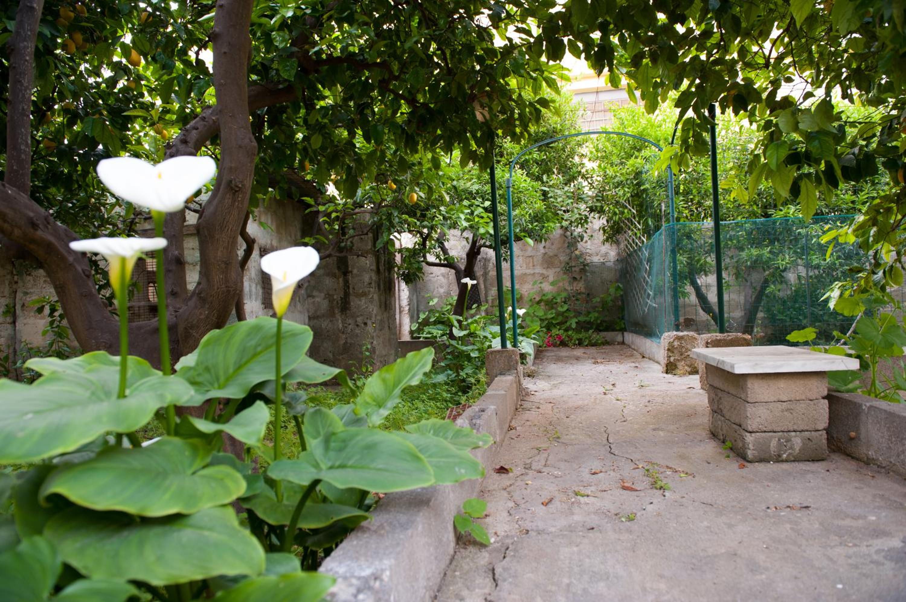 Photo 11