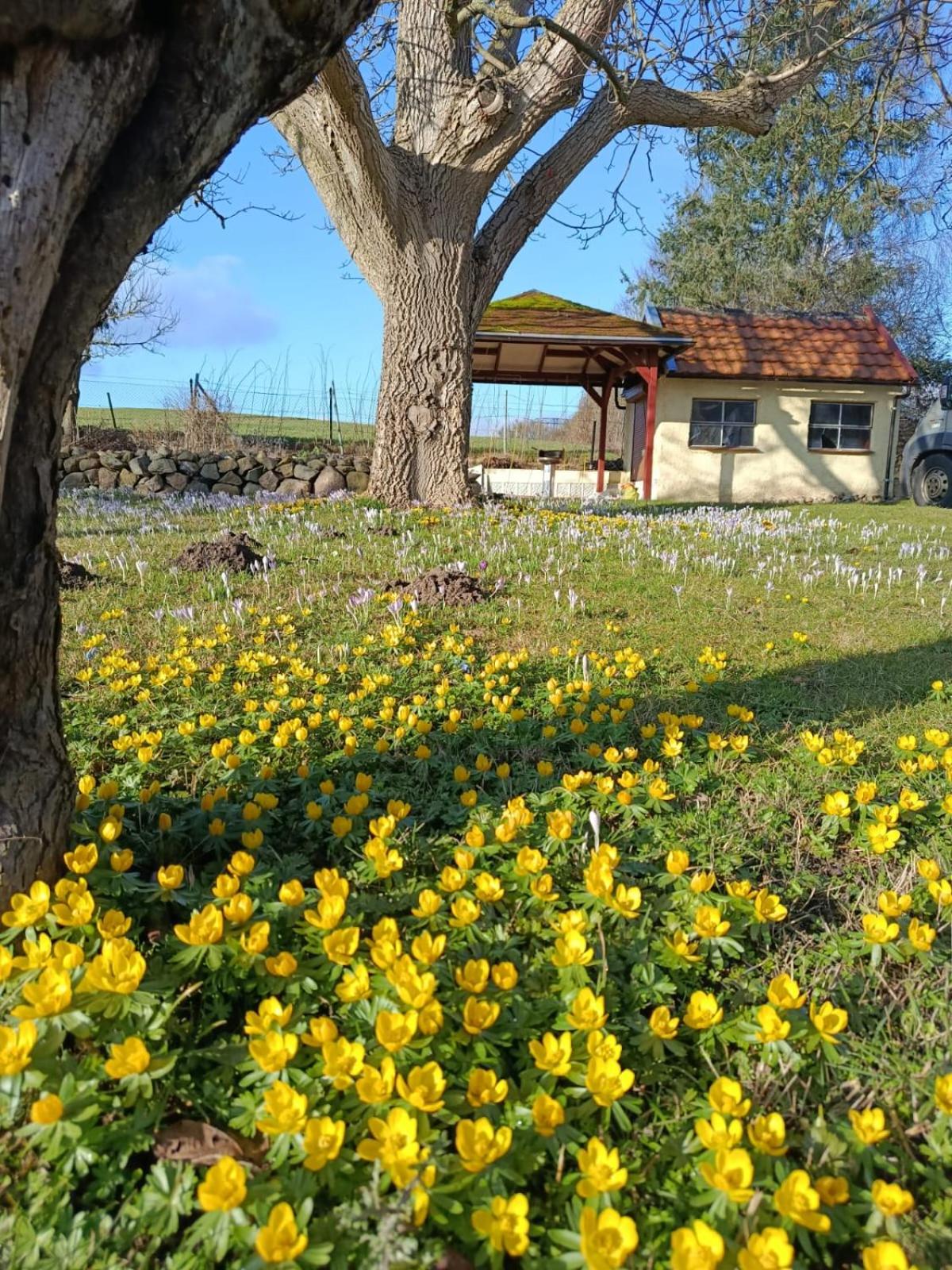 Ferienhof Maikito