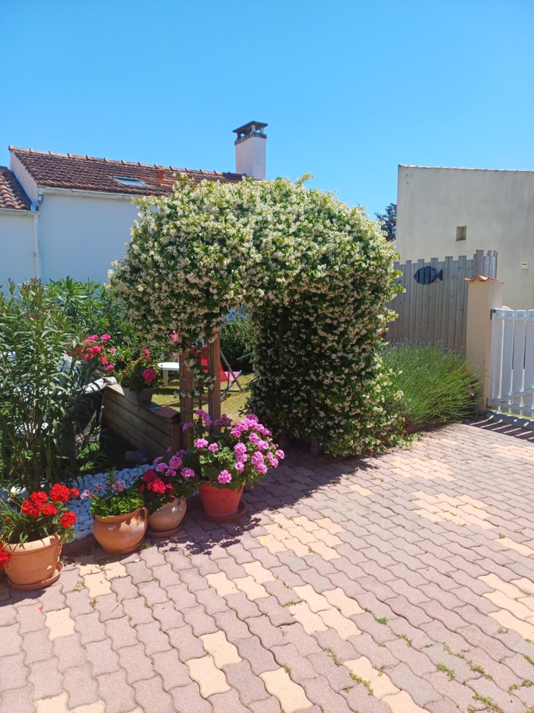 Ma Chaumiere Studio, photo 4