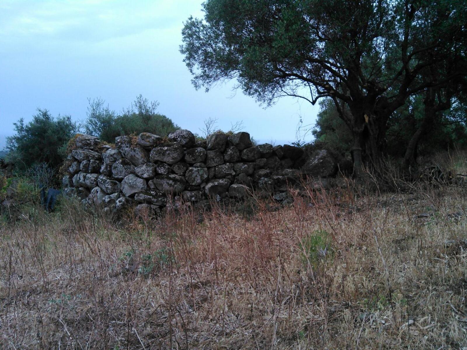 Photo 53