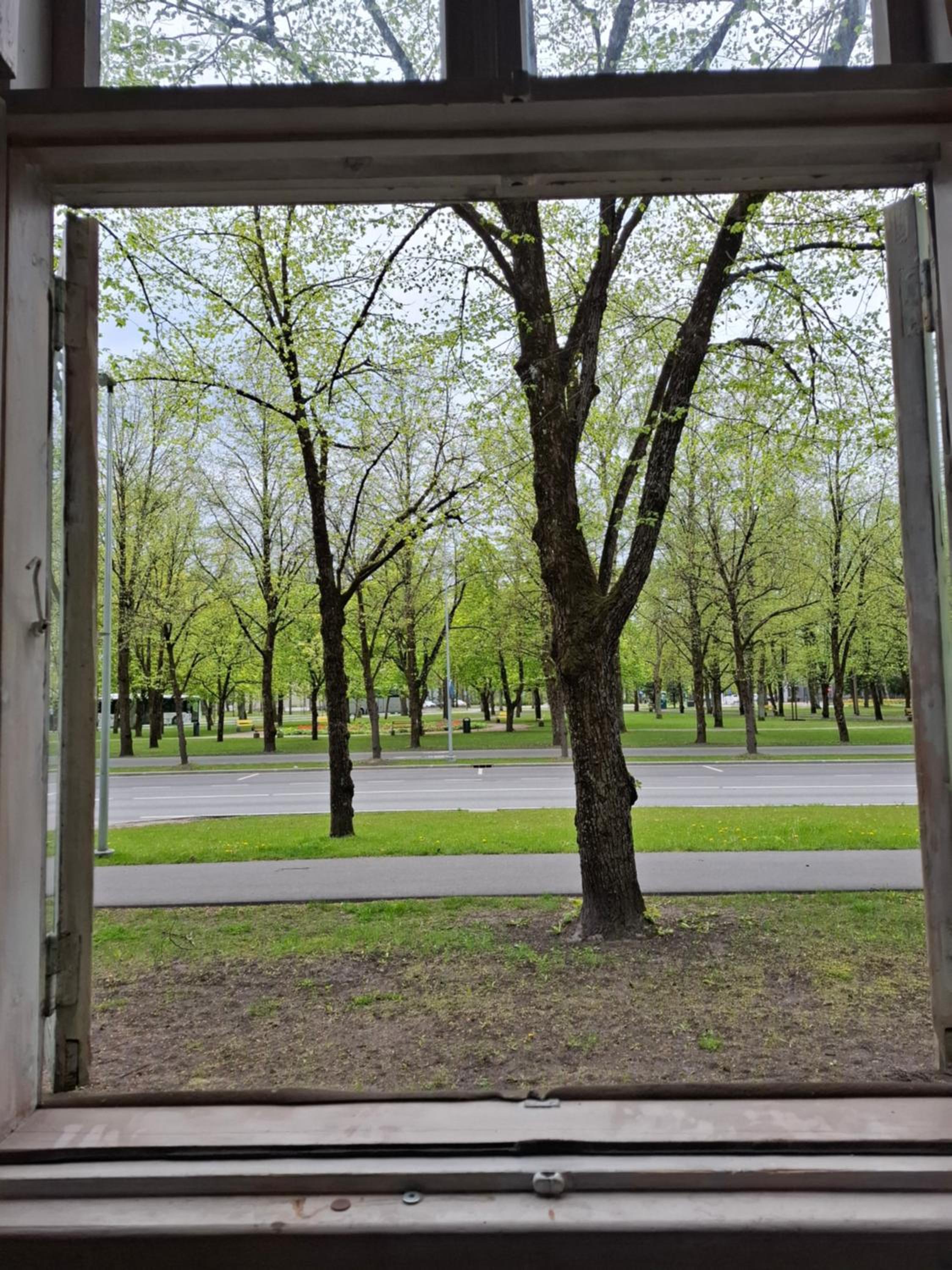 Pärnu Pikk 24 apartment - Pärnu kesklinn - City center