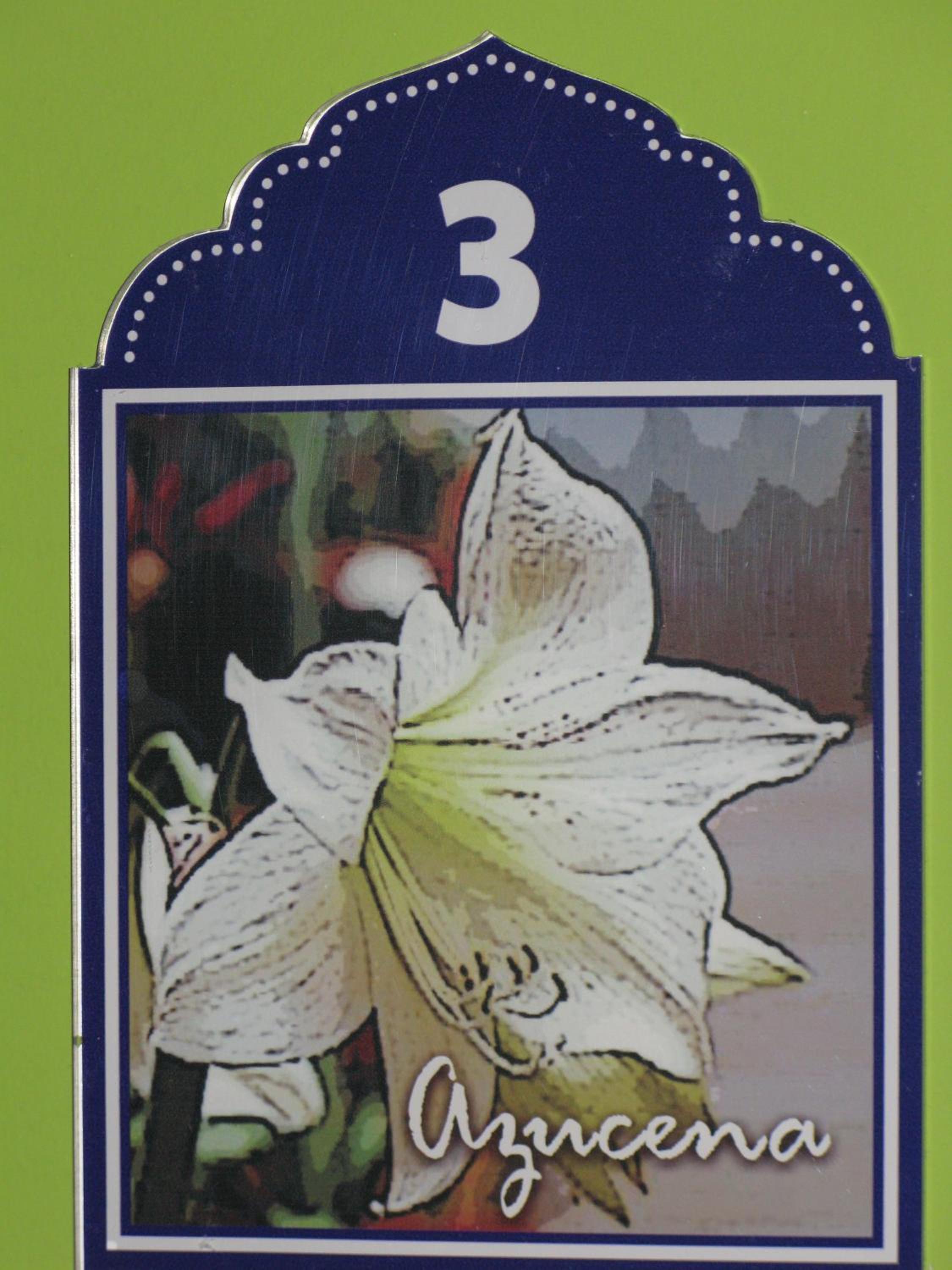 La Flor De Al-Andalus view 5