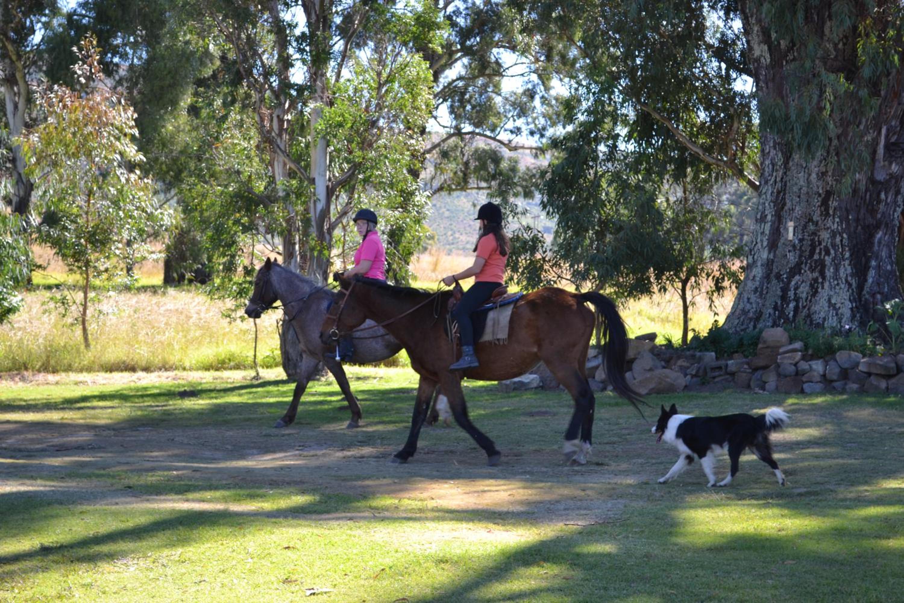 Forellenhof Guest Farm