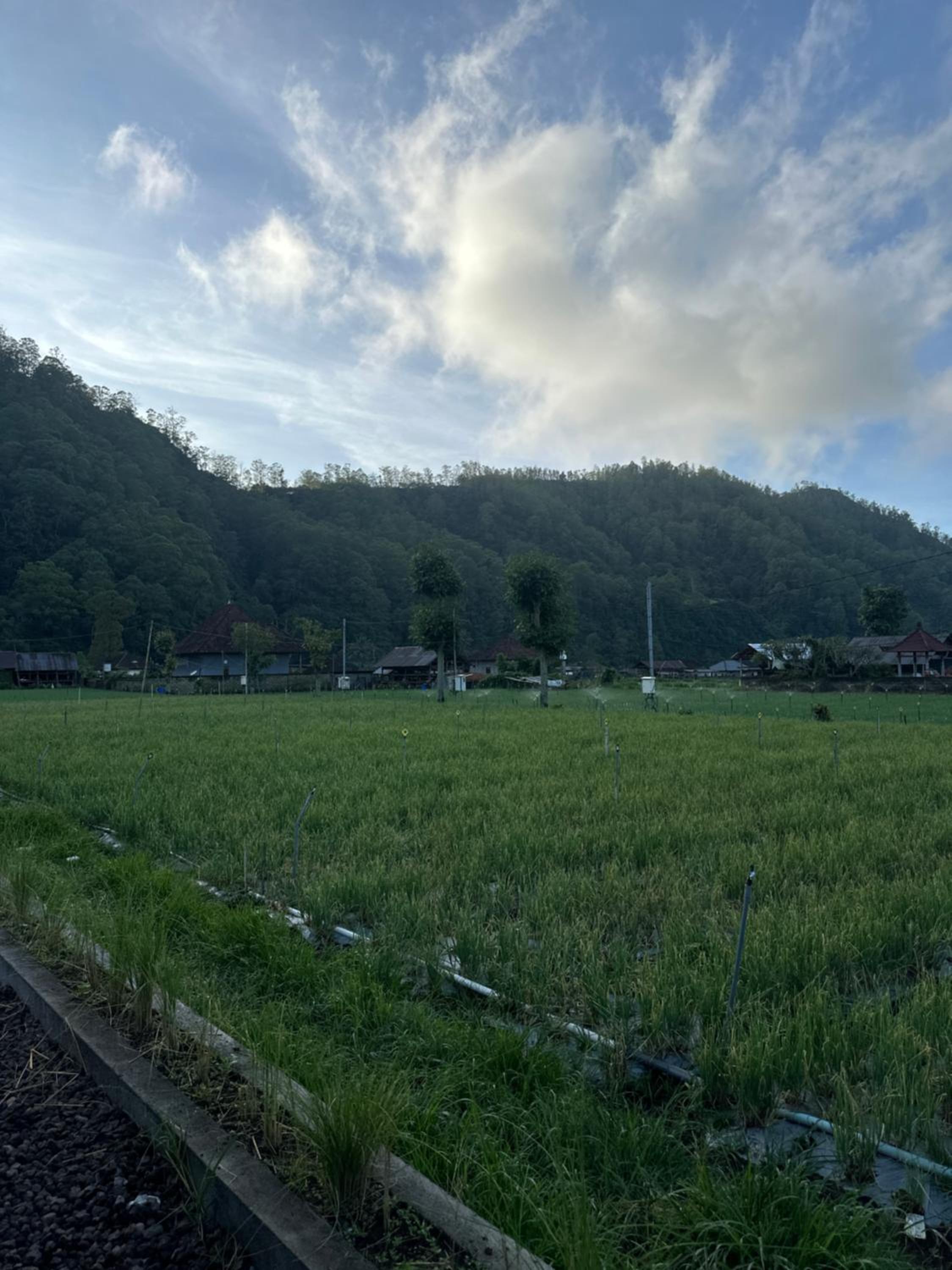 Heaven House Kintamani