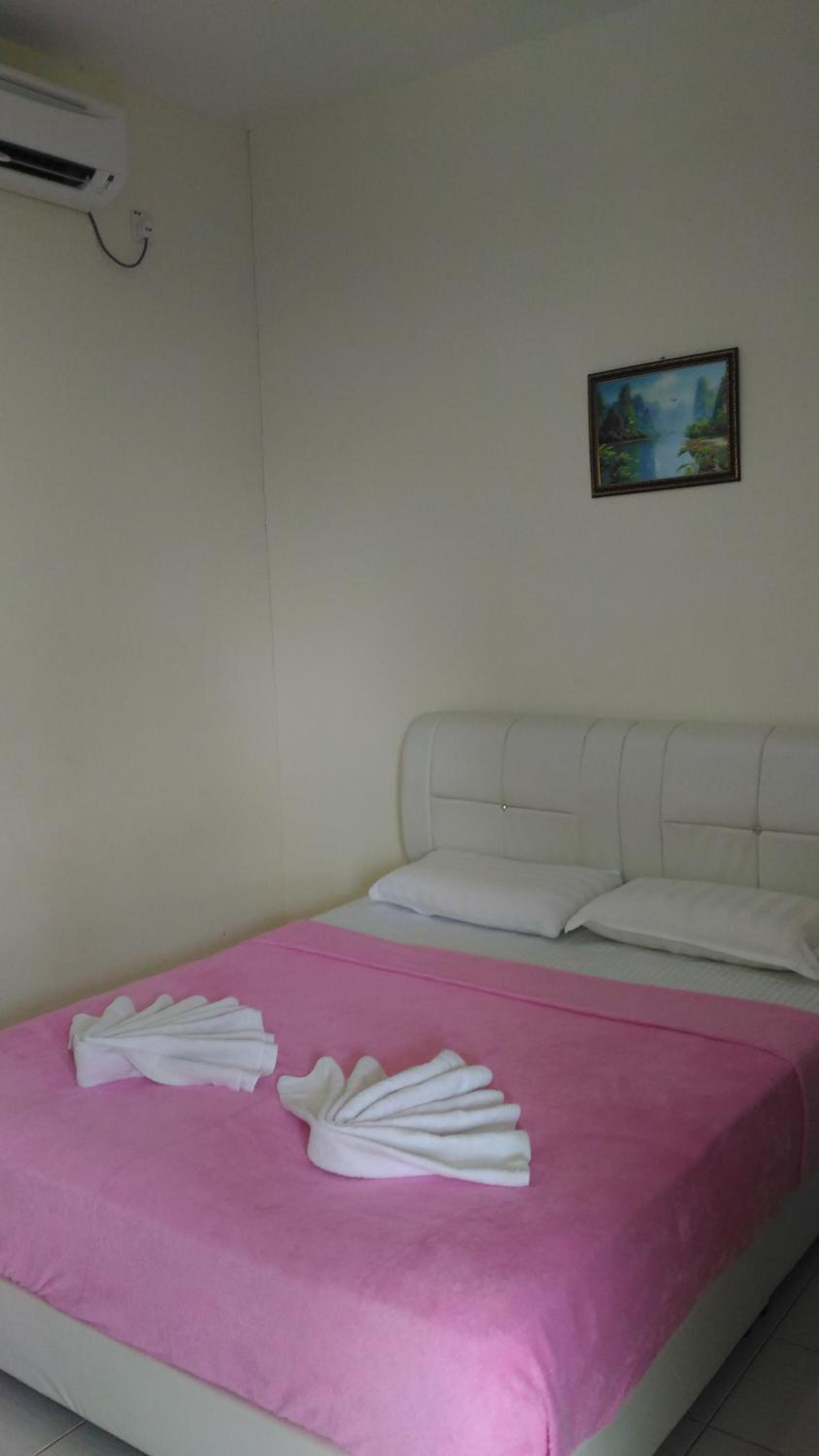 Photo 44