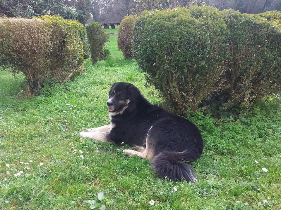 Photo 46
