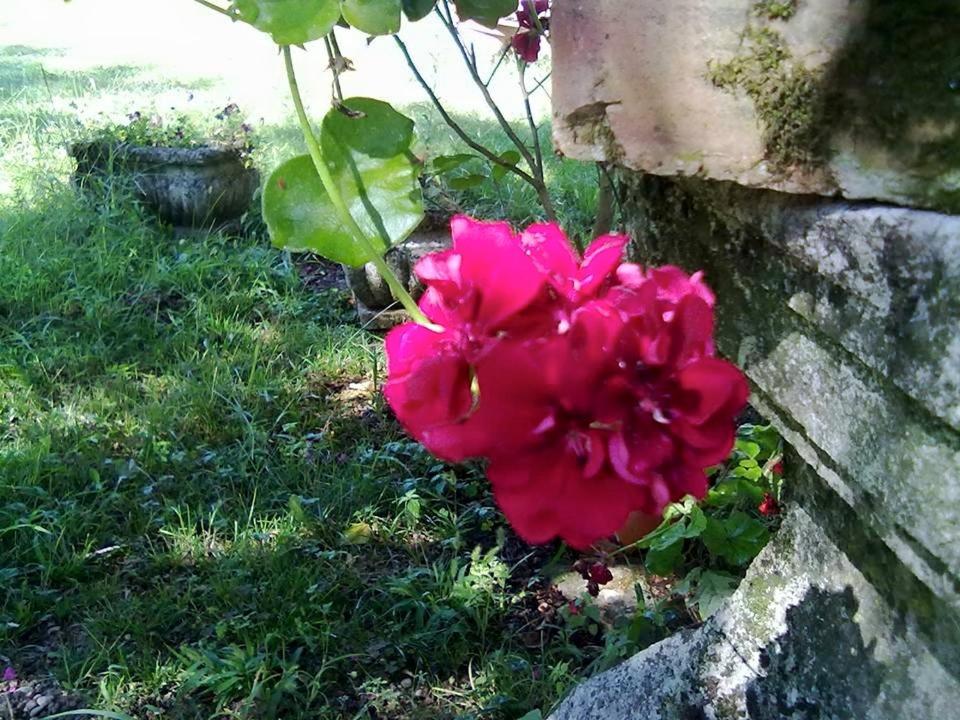 Photo 72