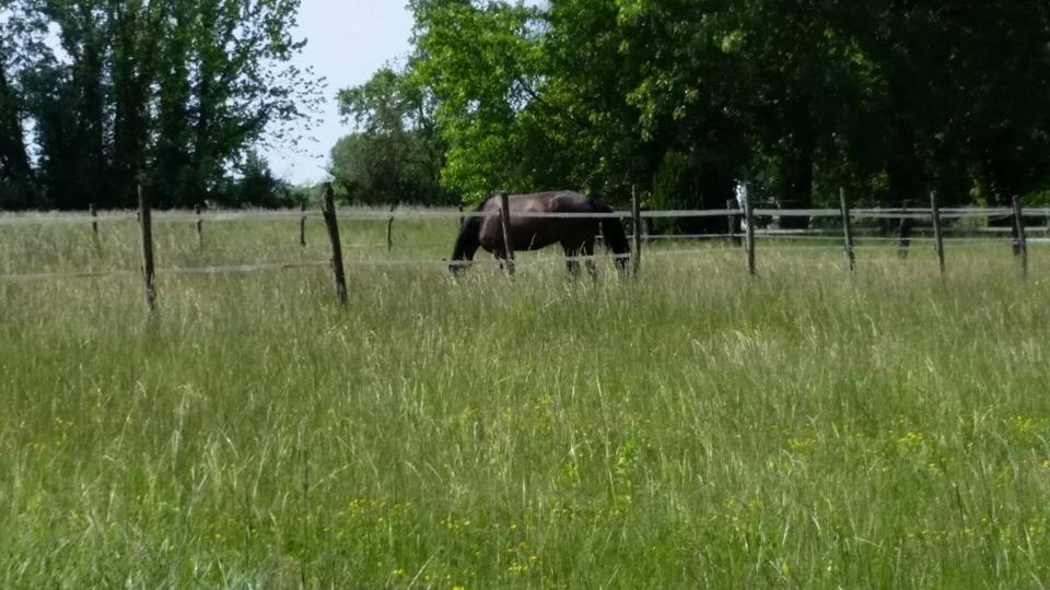 Photo 76