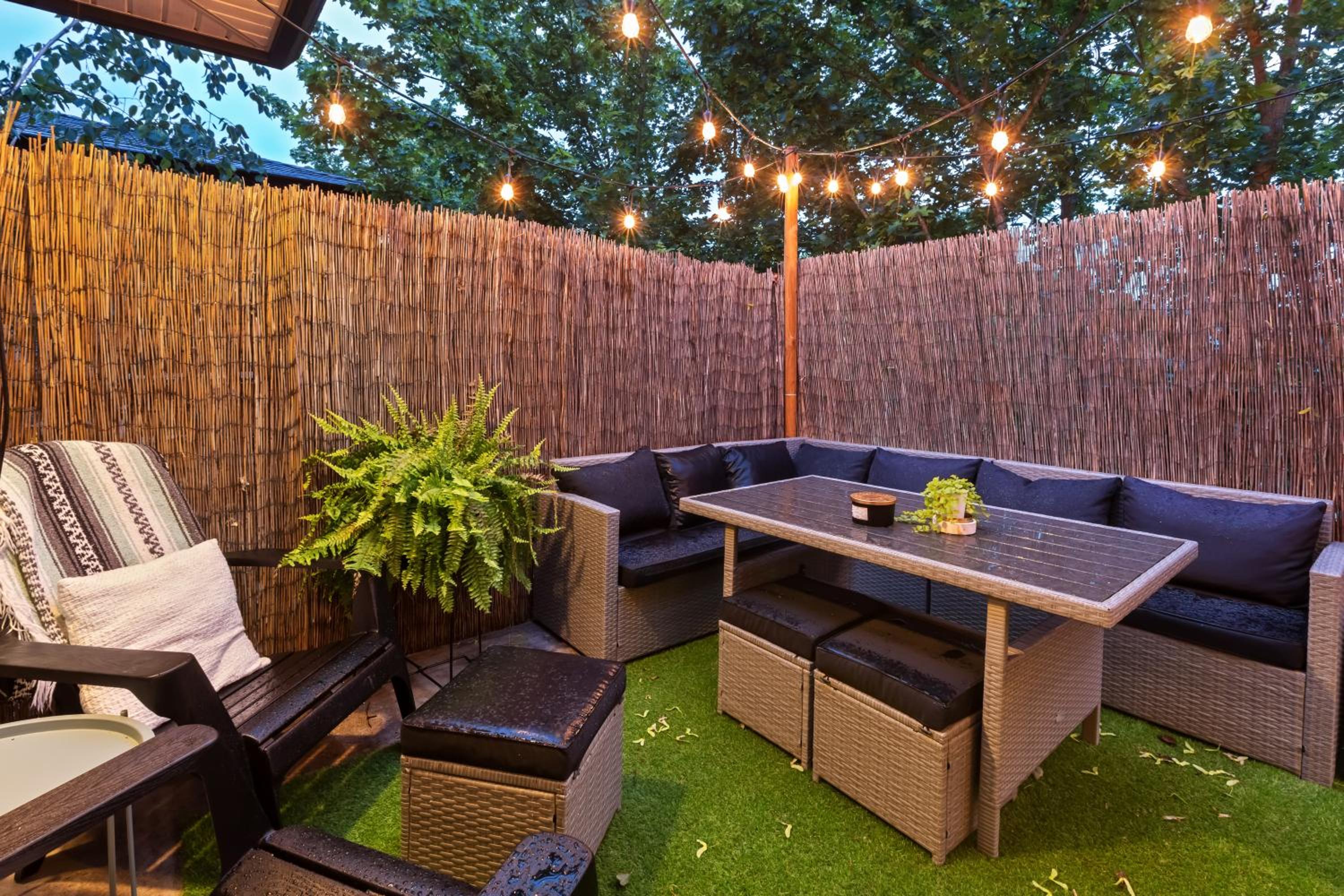 The Velvet Fern Guesthouse