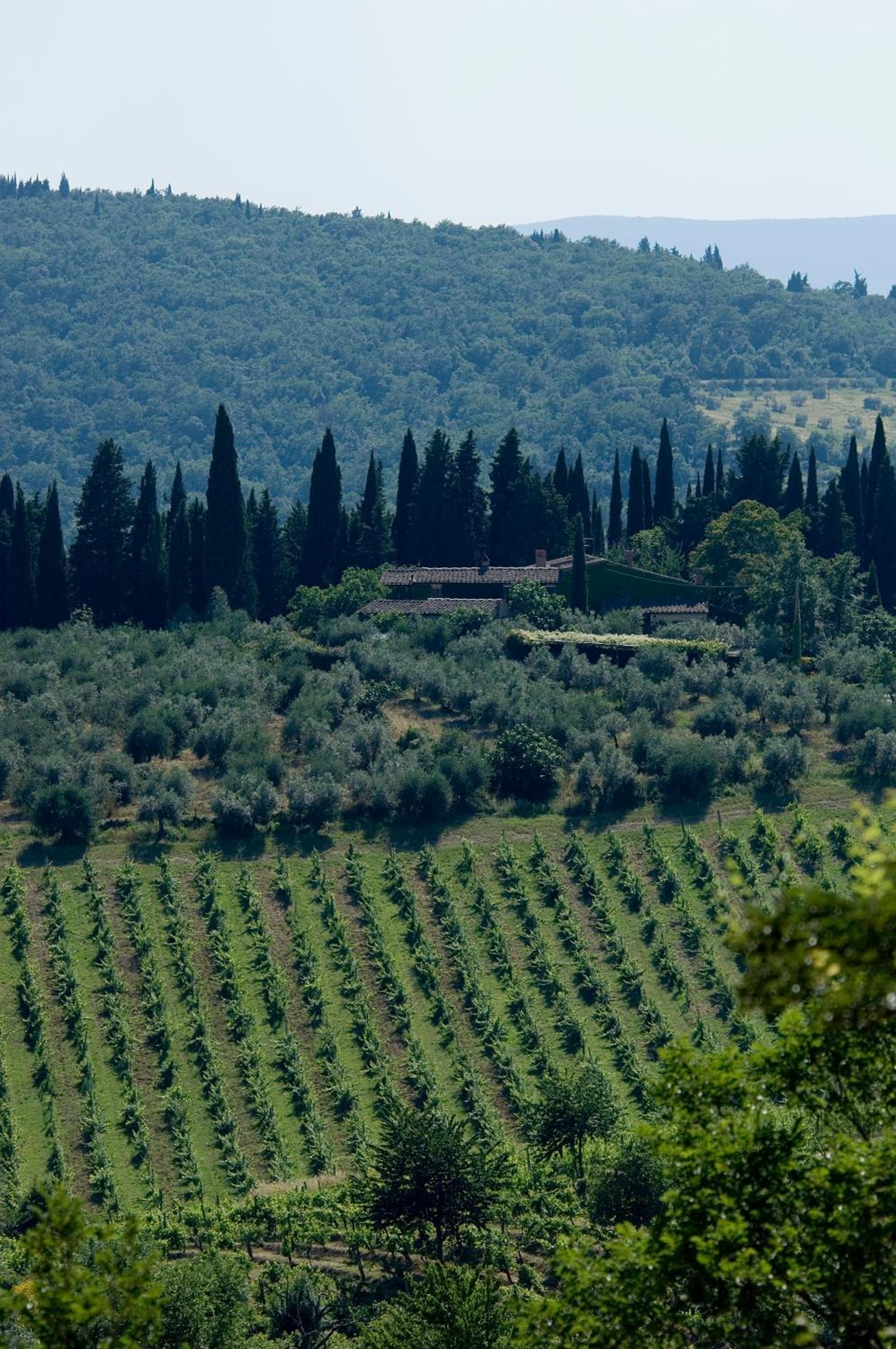 Fattoria Casa Sola