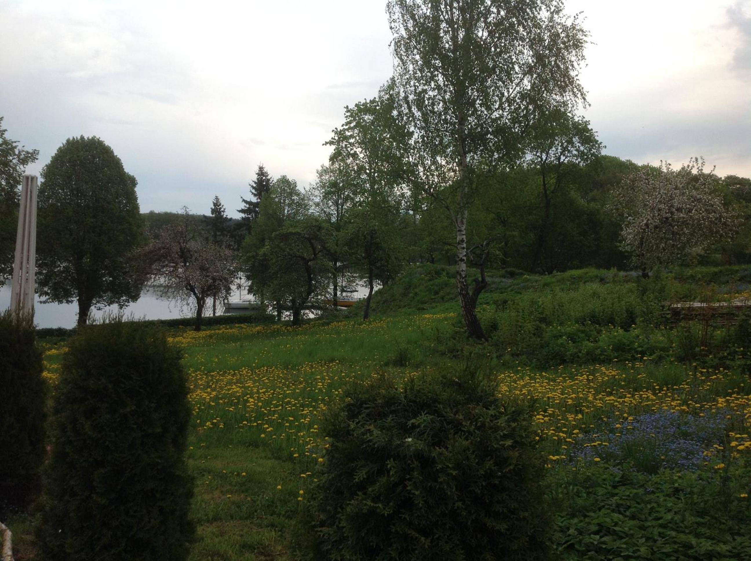Photo 33