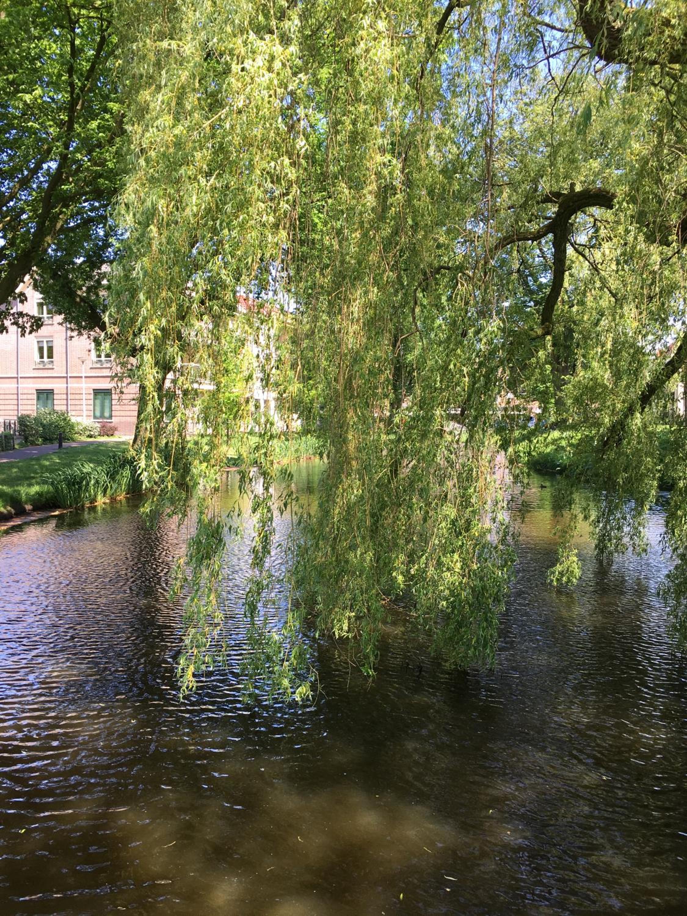 Hart van Lochem, photo 20
