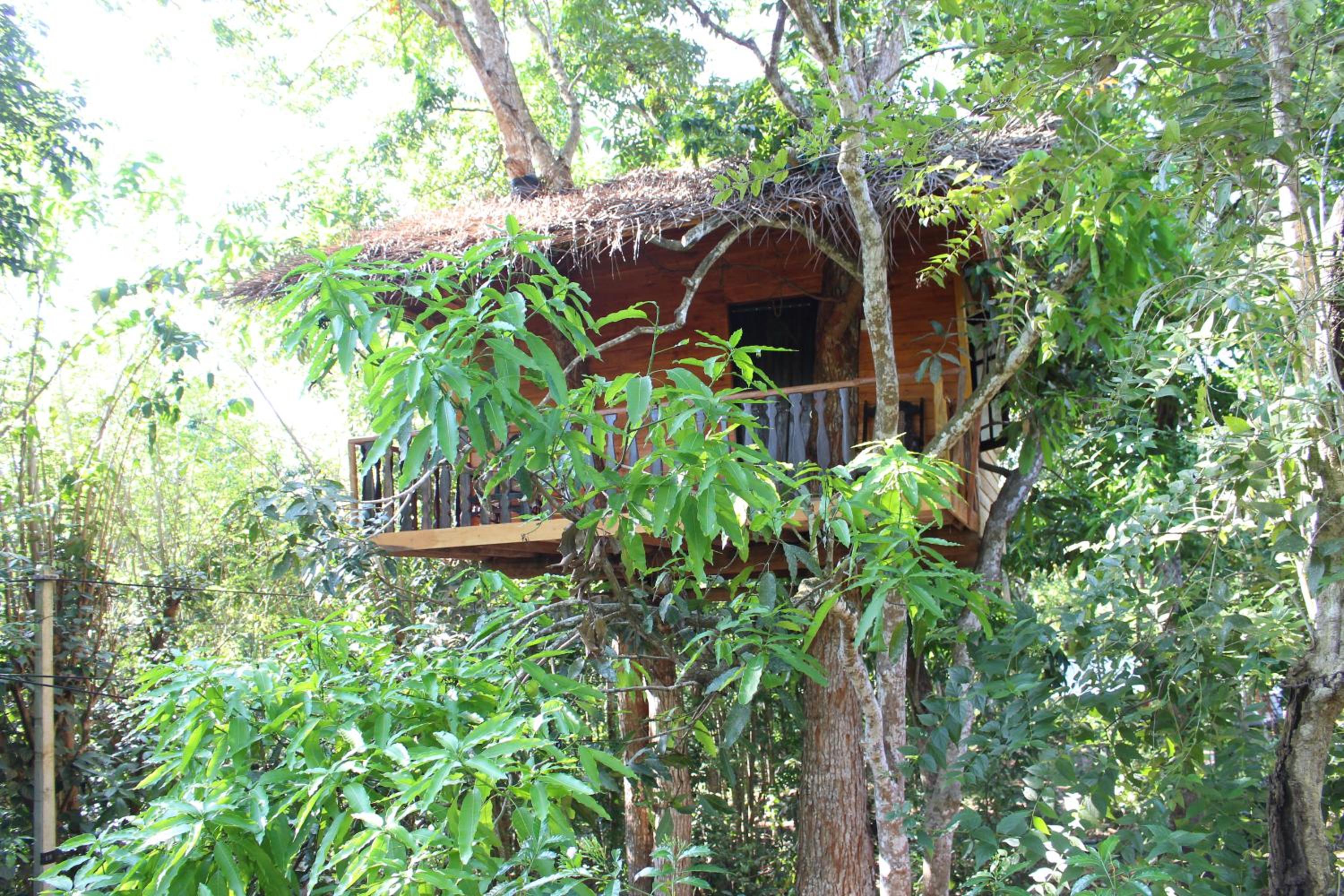 Photo 40