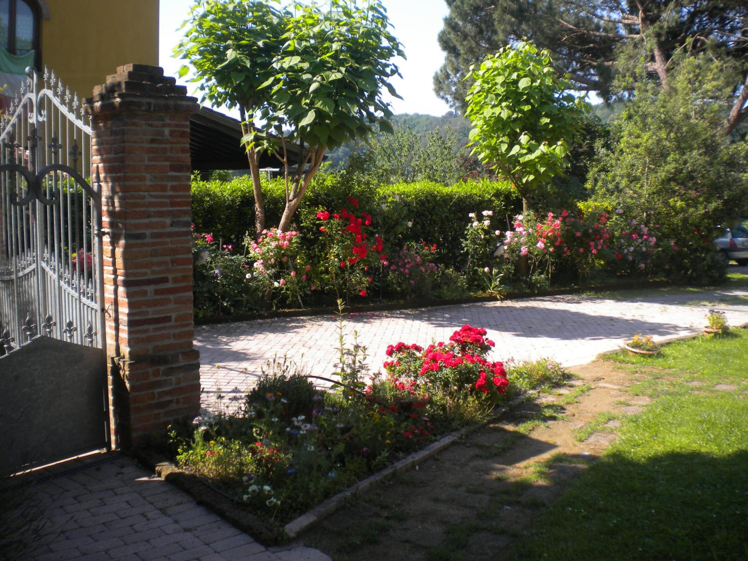 Photo 18
