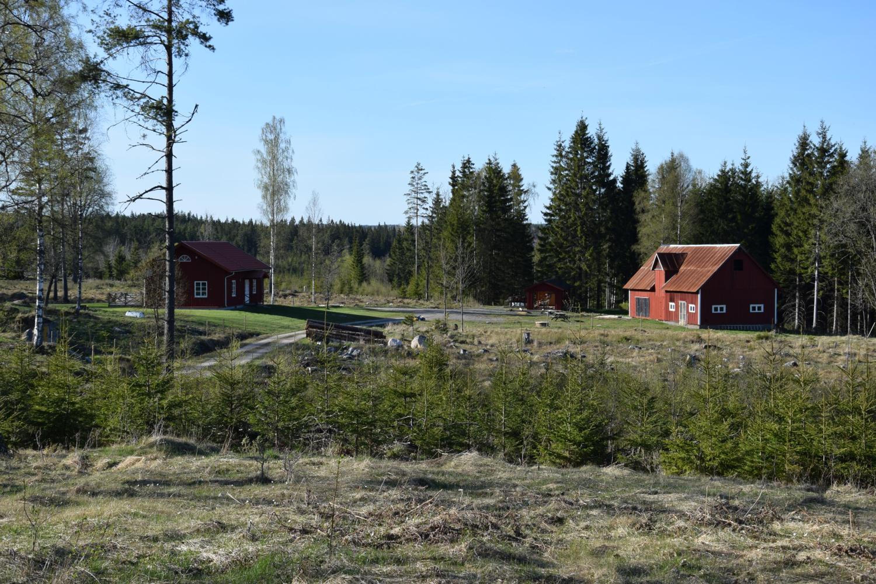 Photo 14