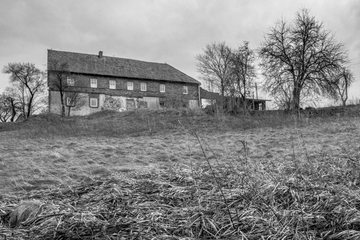 Photo 42