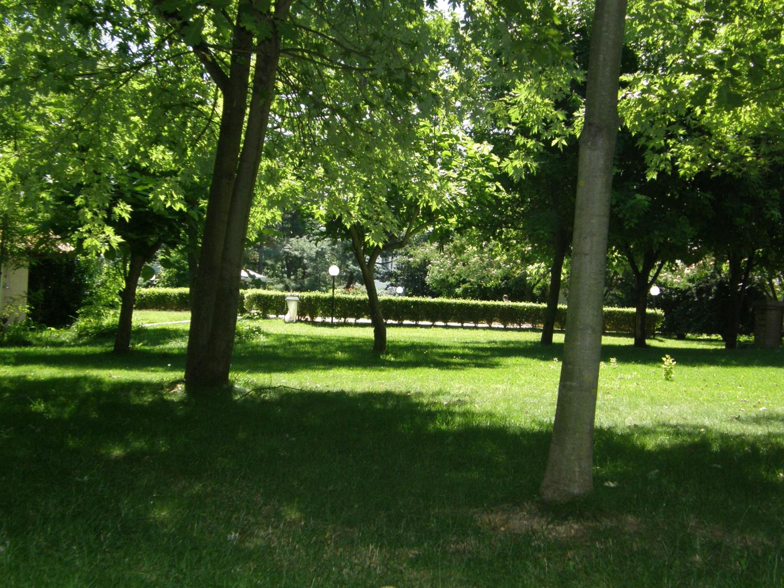 Photo 32