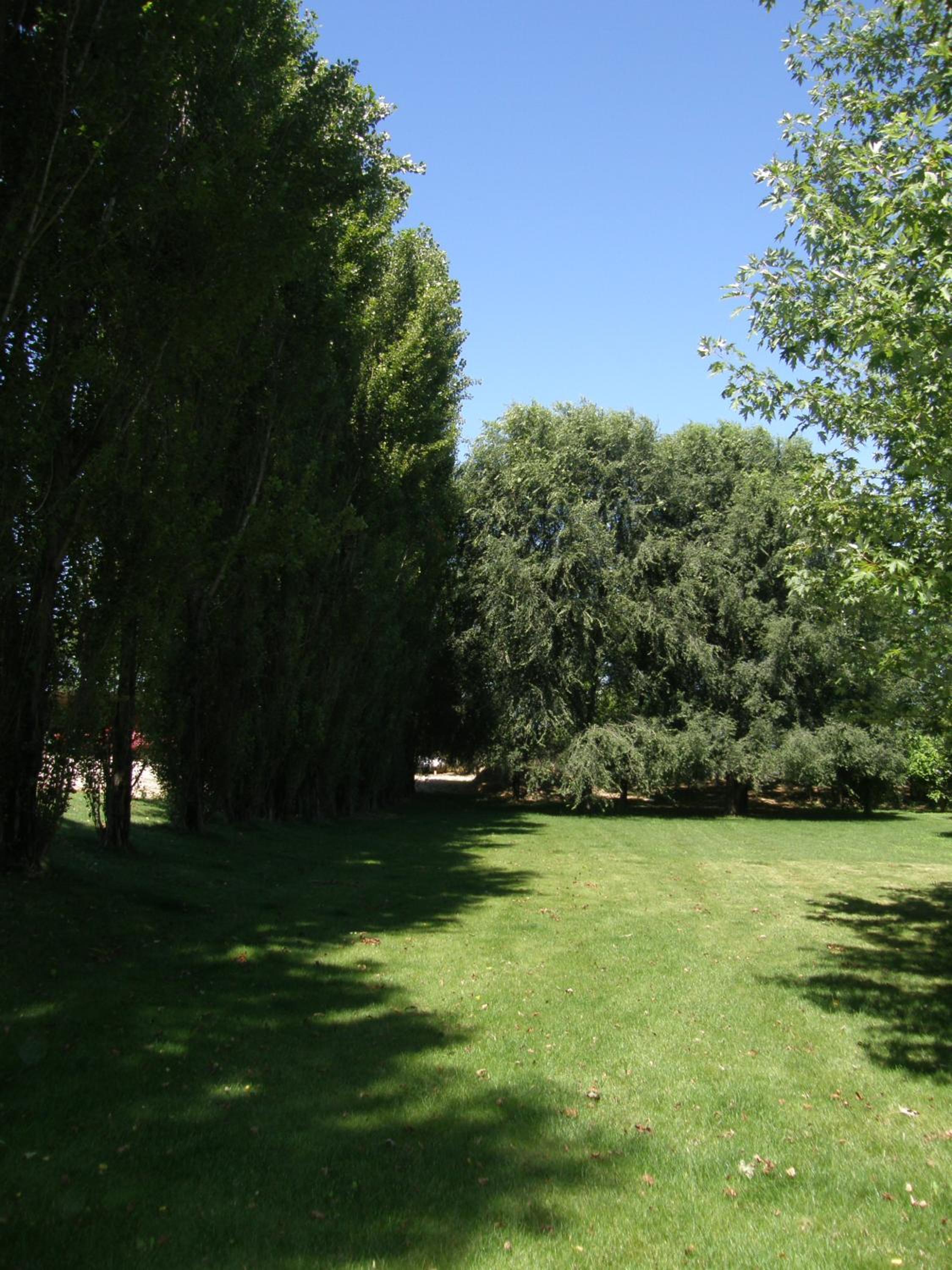 Photo 31