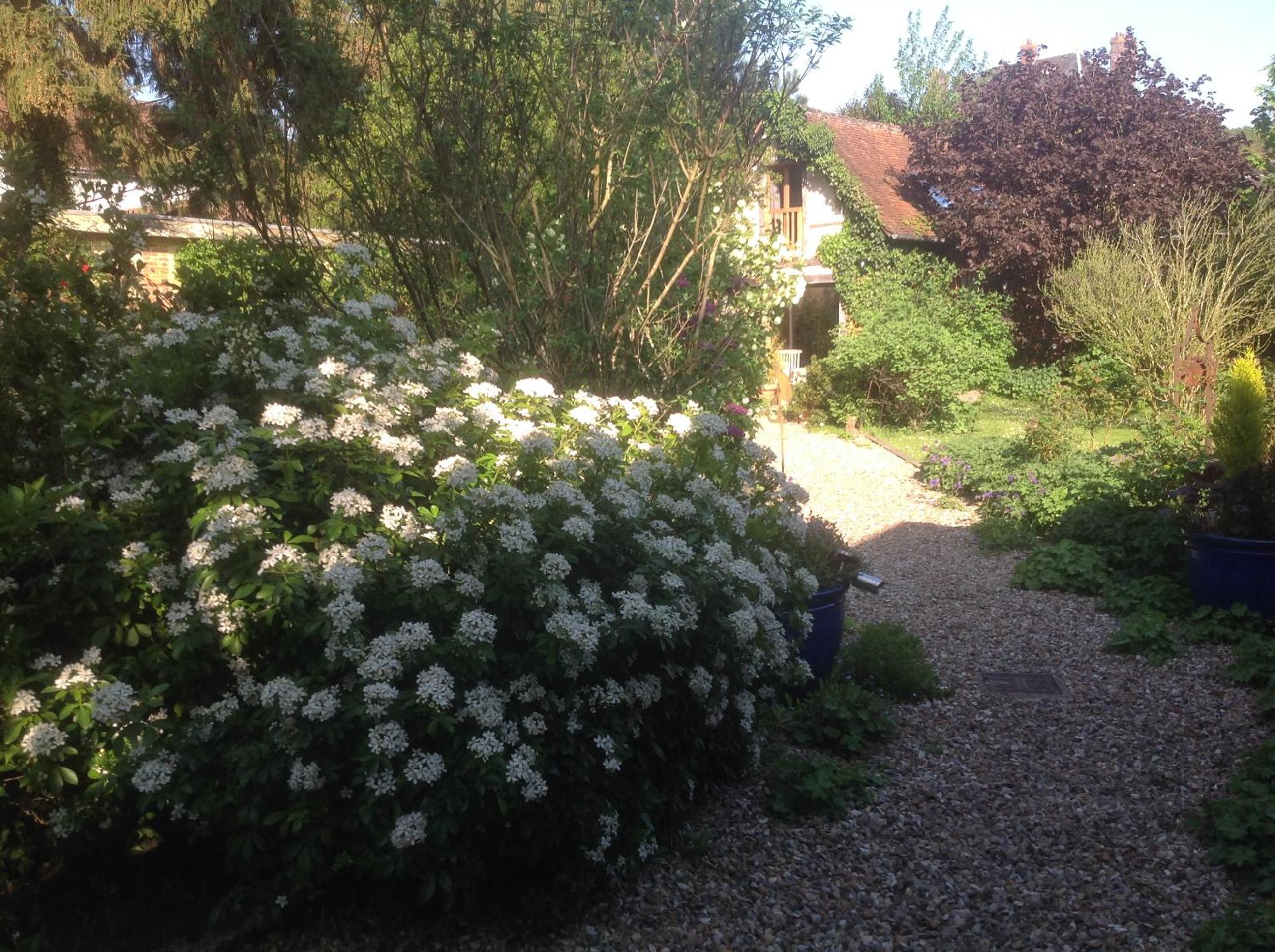 Photo 47