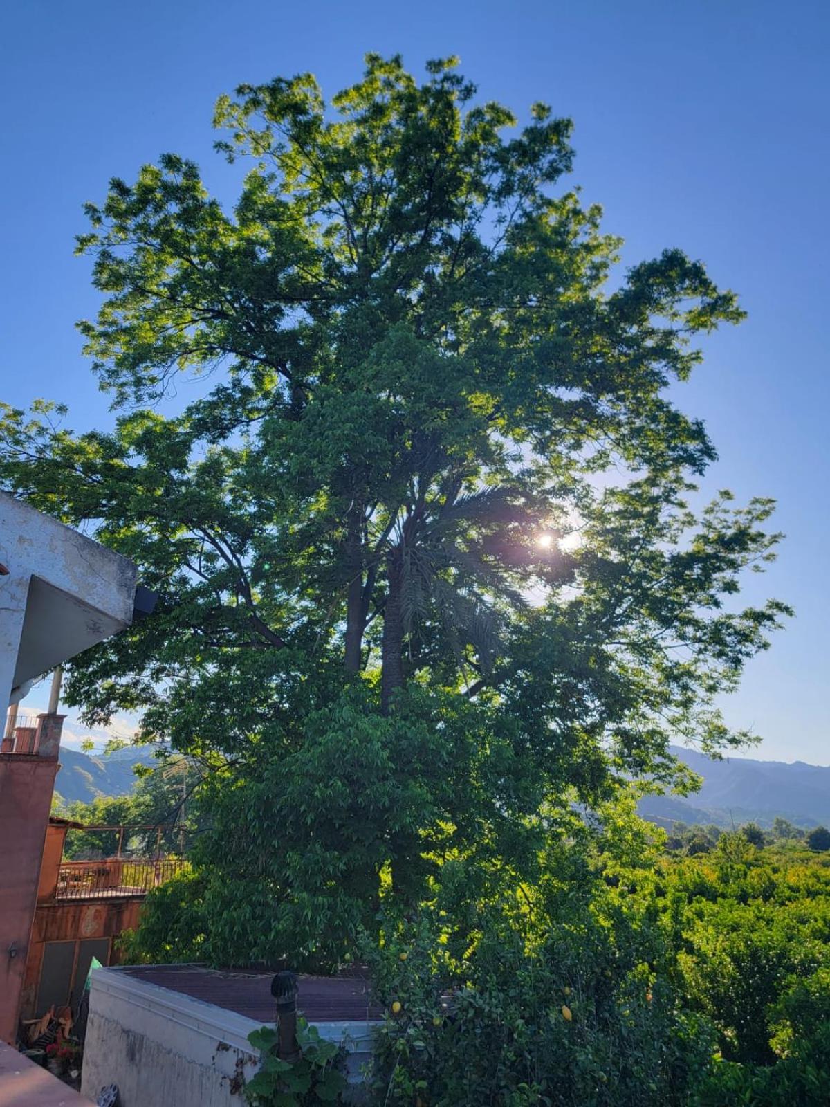 Etna view Villa Letizia a Taormina