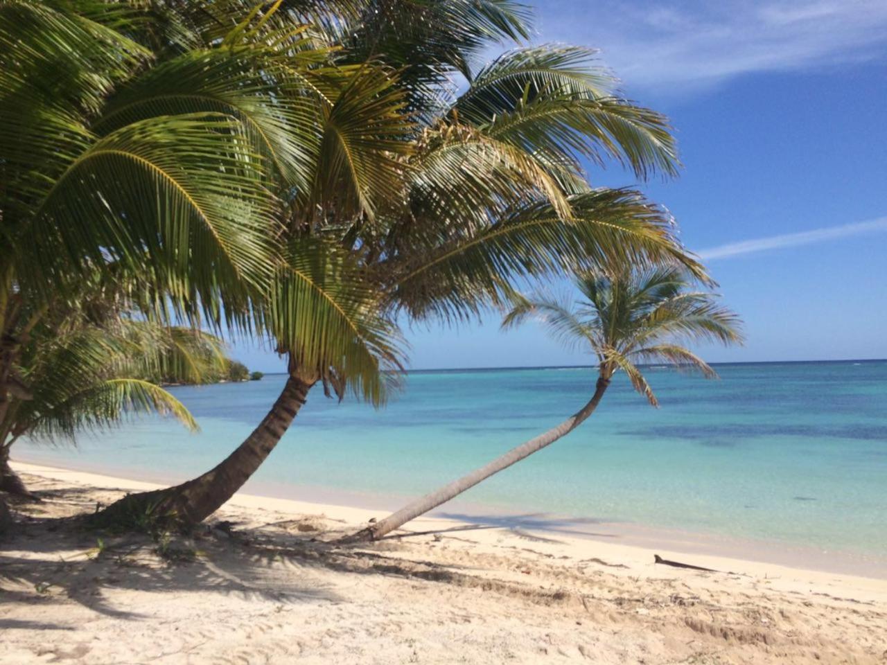 Belize Dive Haven Resort & Marina