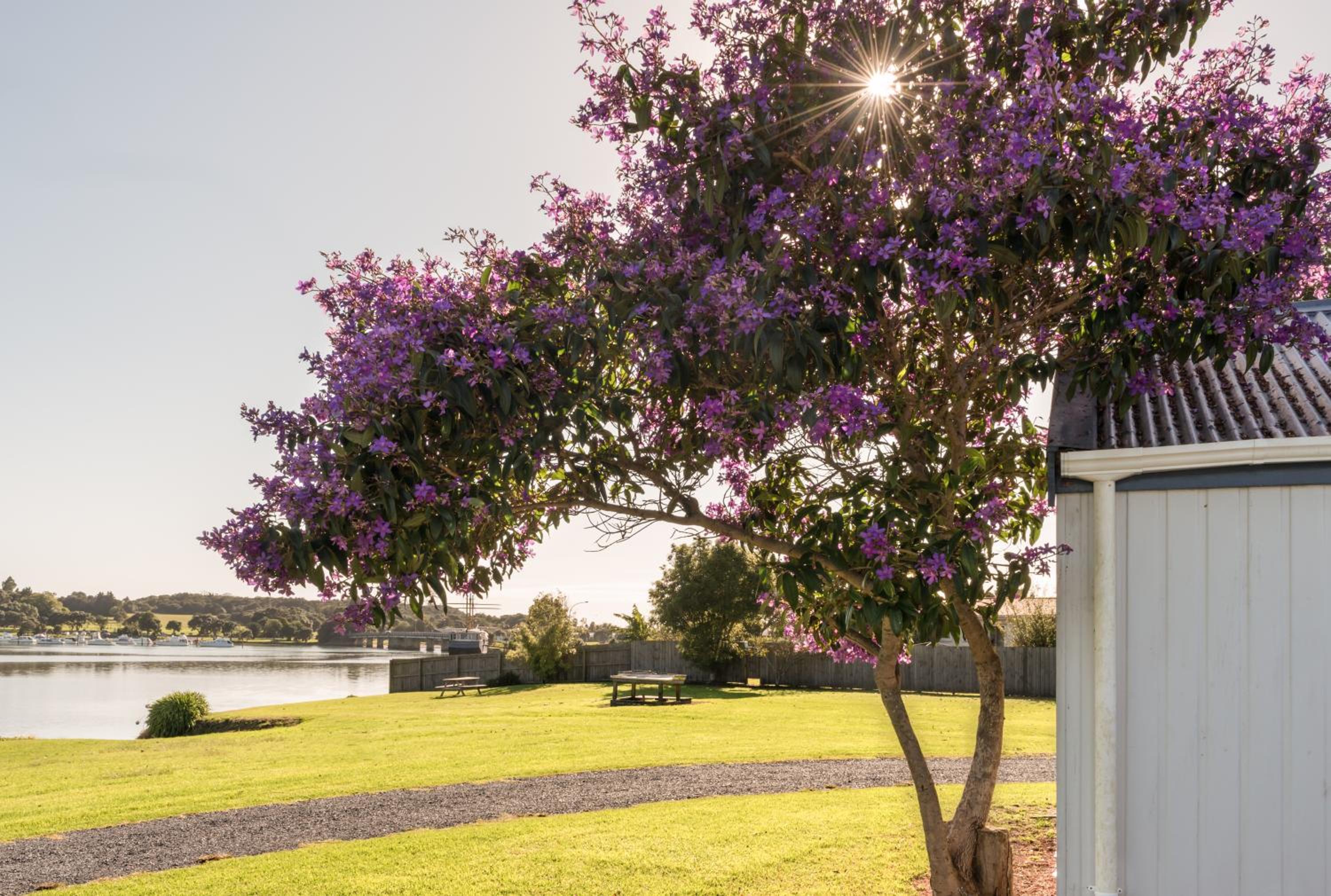Waitangi Holiday Park