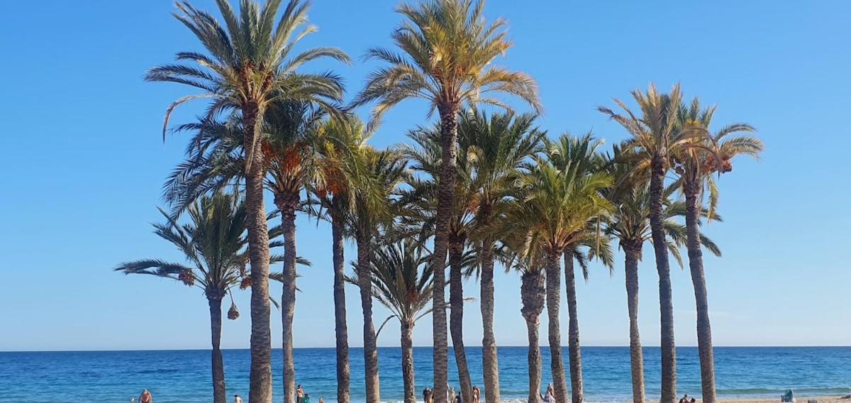 Blue Amber-Los Arenales del Sol-Alicante