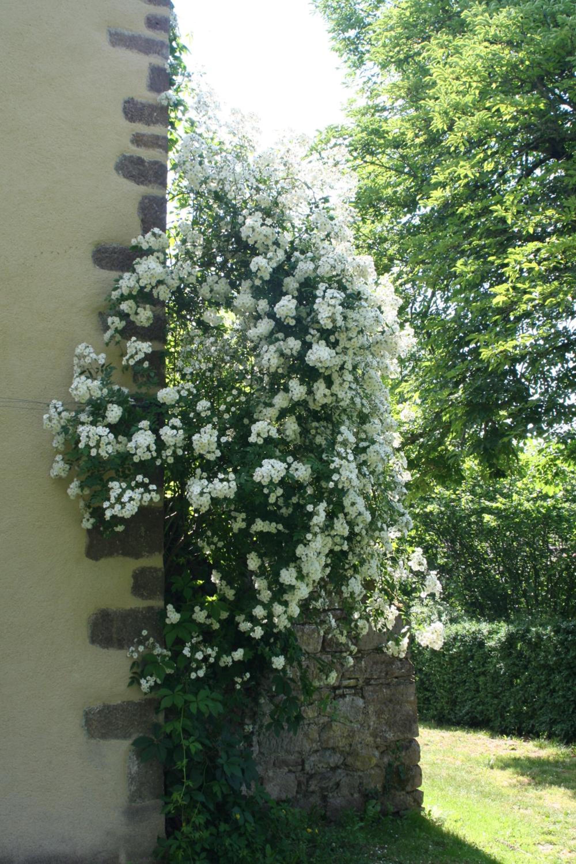 Château Labistoul