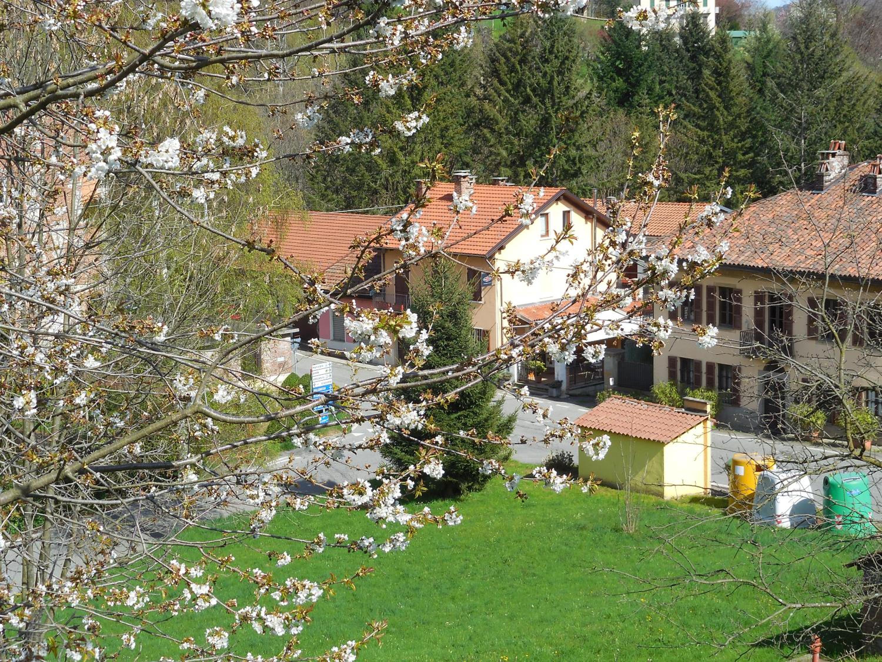 L'Erbavoglio view 2
