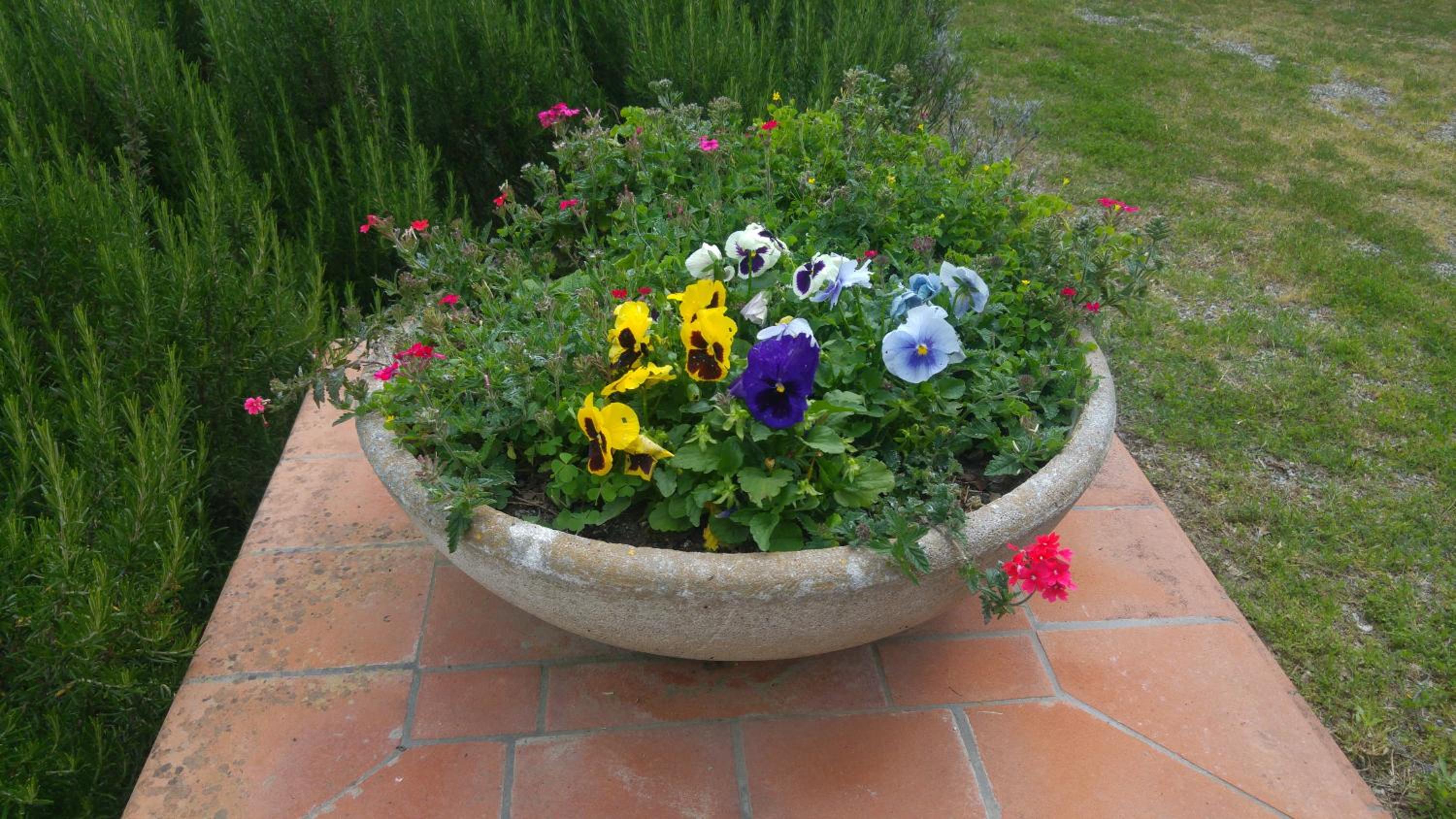 Agriturismo Pettinari